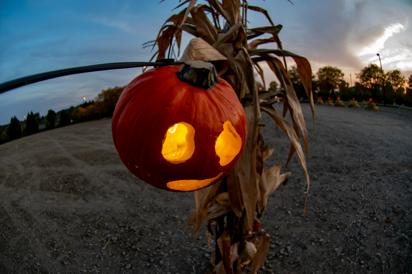 Hyperlocal JackOLantern