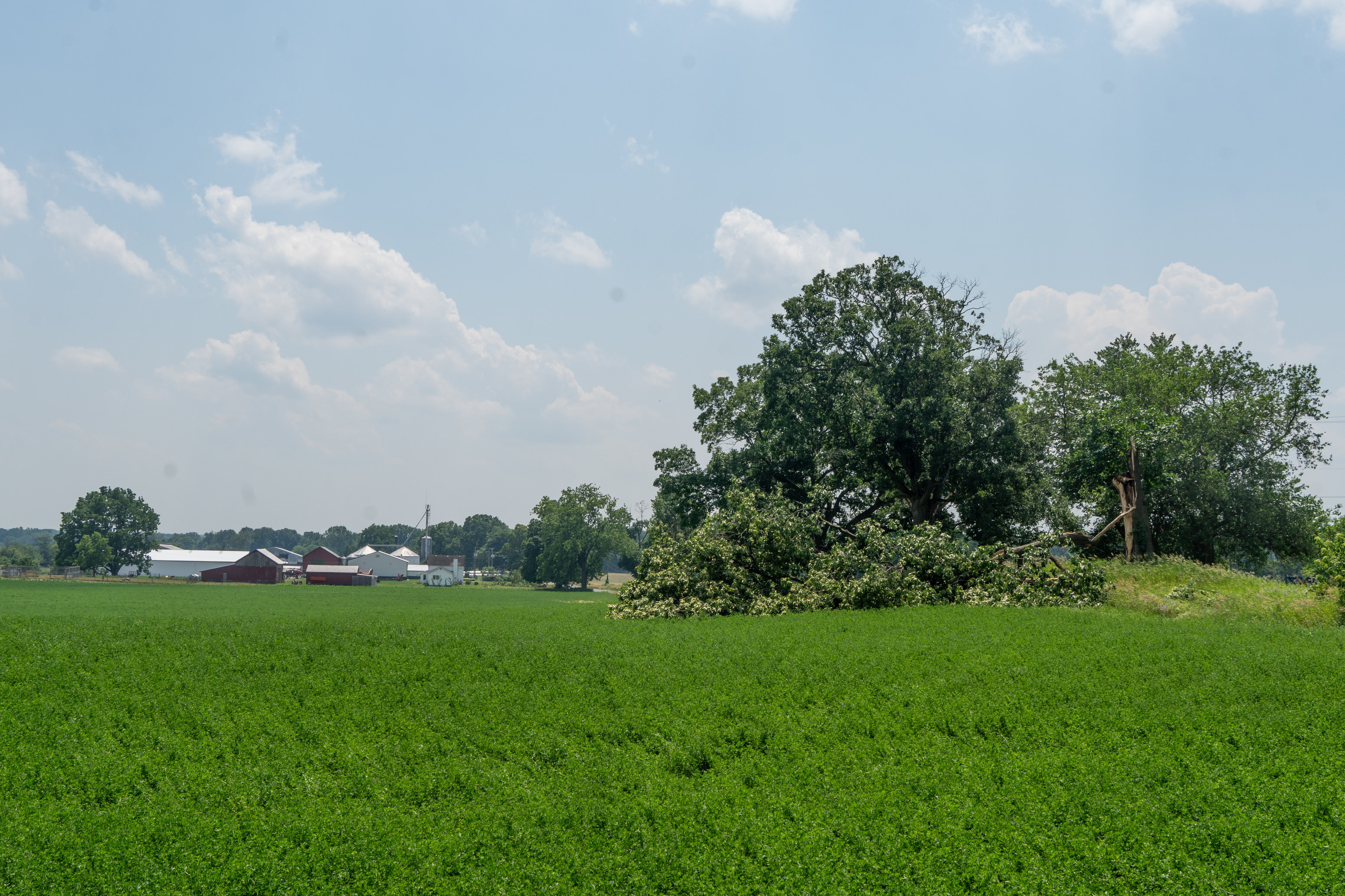 NWS says no tornado, but evidence of downbursts in Van Buren County
