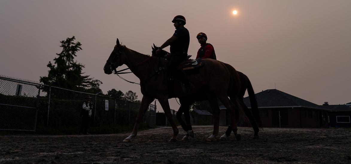 FanDuel Racing 2023 Belmont Stakes Promo: No Sweat Bet For Saturday