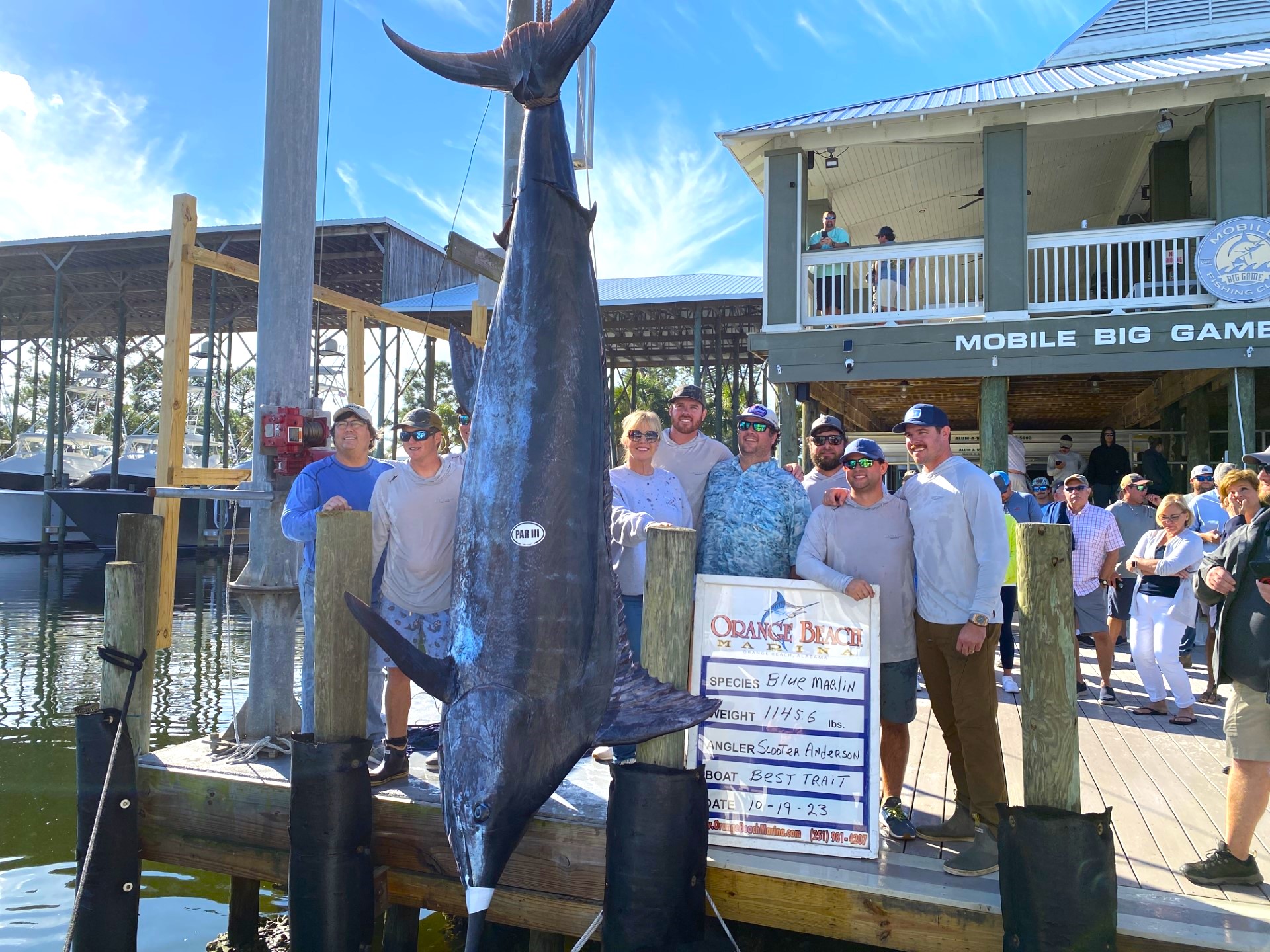 Anglers haul in blue marlin that will shatter Alabama, Gulf of Mexico  records 