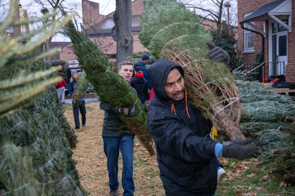 Mechanicsburg Scout troop Christmas Tree sale hits 40 years