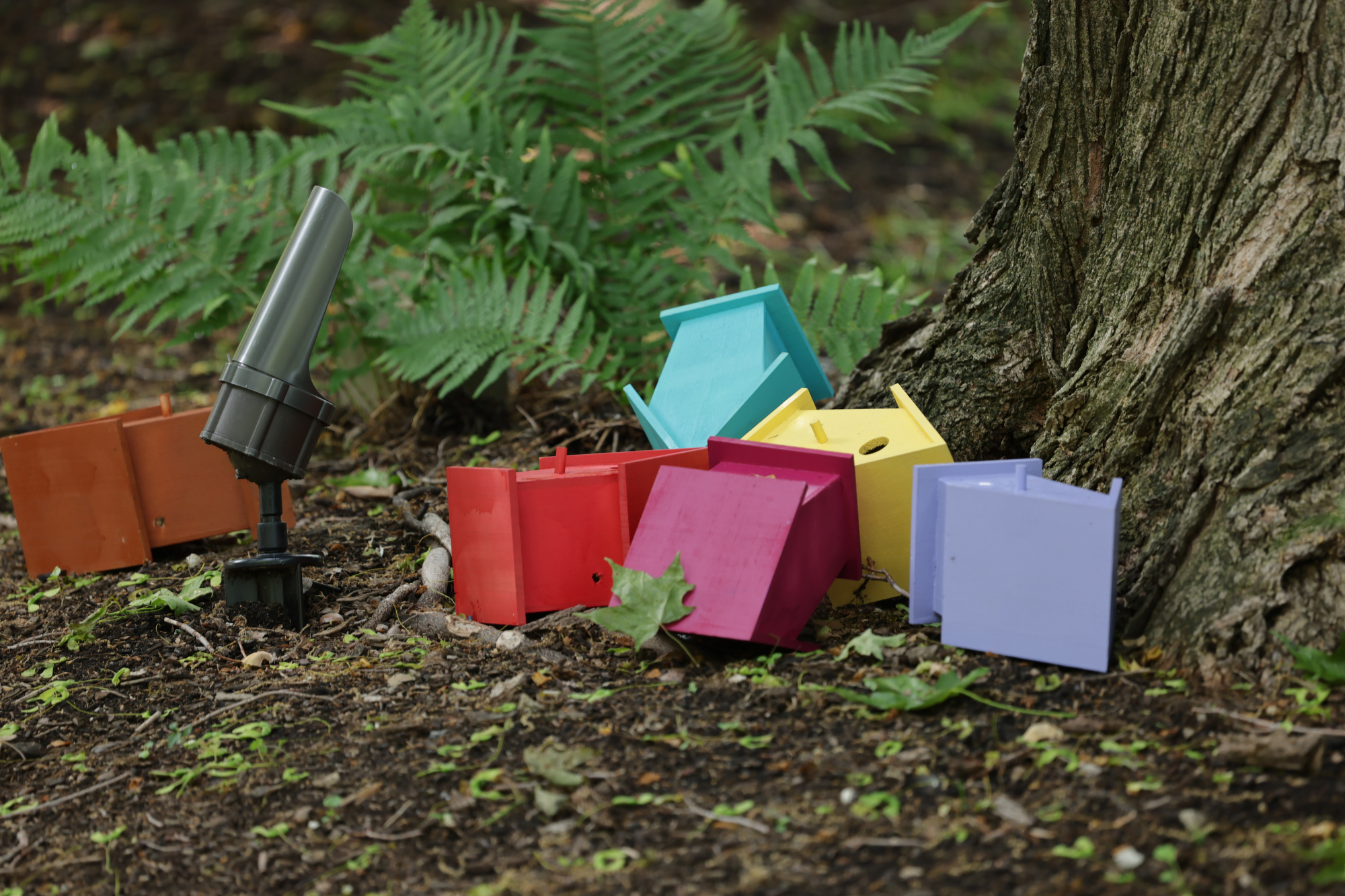 "BLOOM! Botanicals & Birdhouses" at the Cleveland Botanical Garden