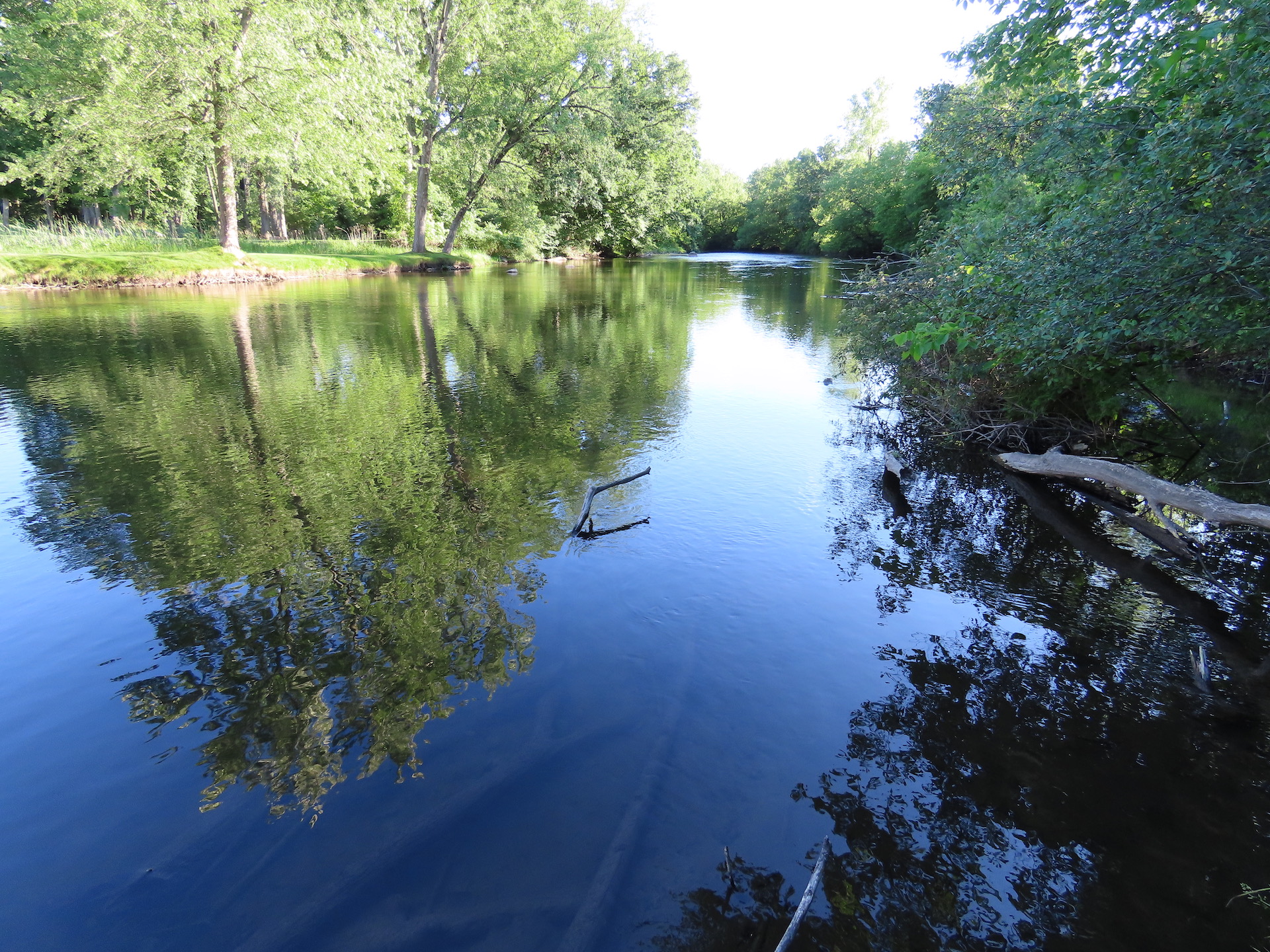 Rogue River PFAS contamination