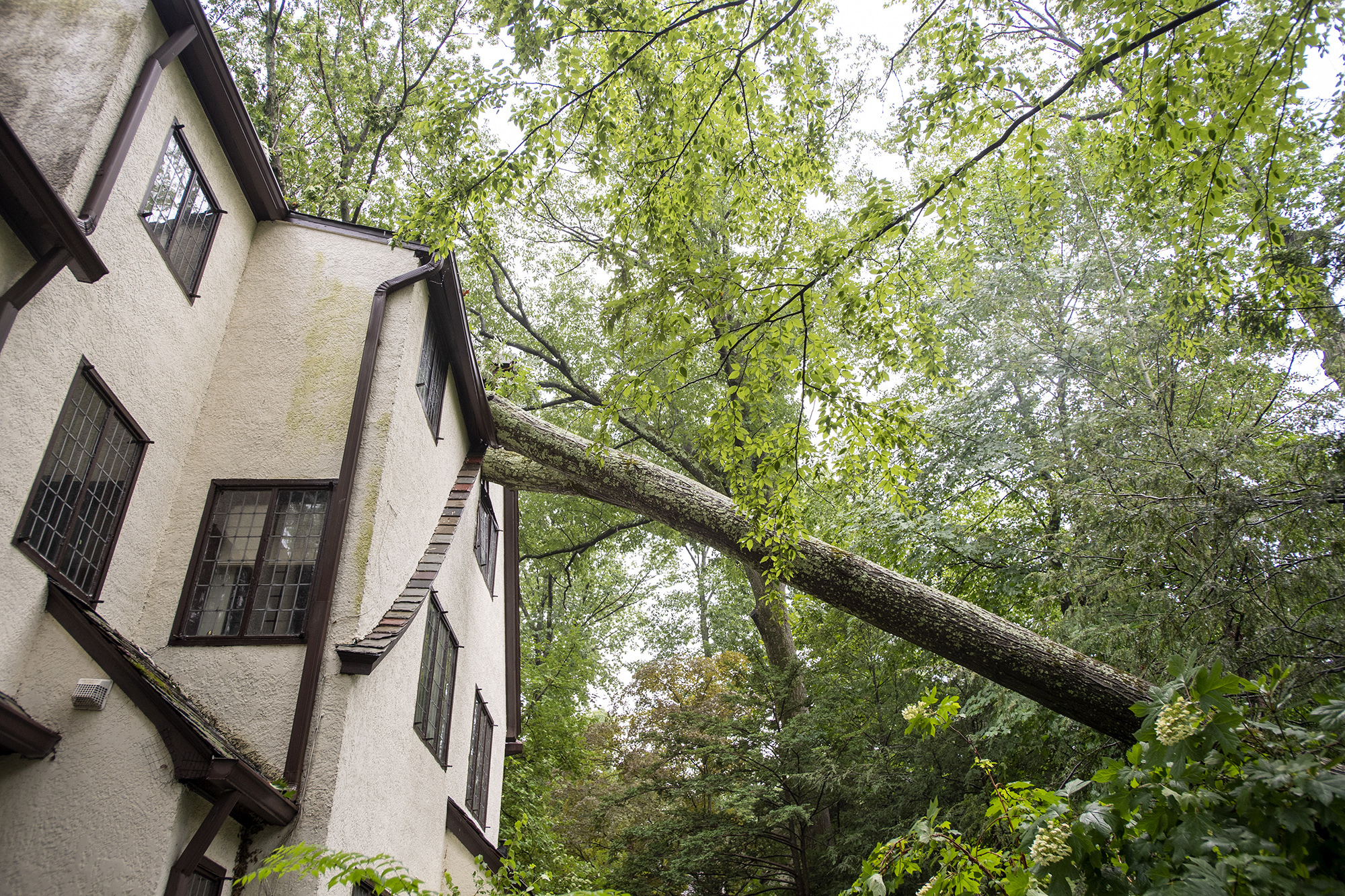 Photos show damage from Tropical Storm Elsa to New England and New York ...