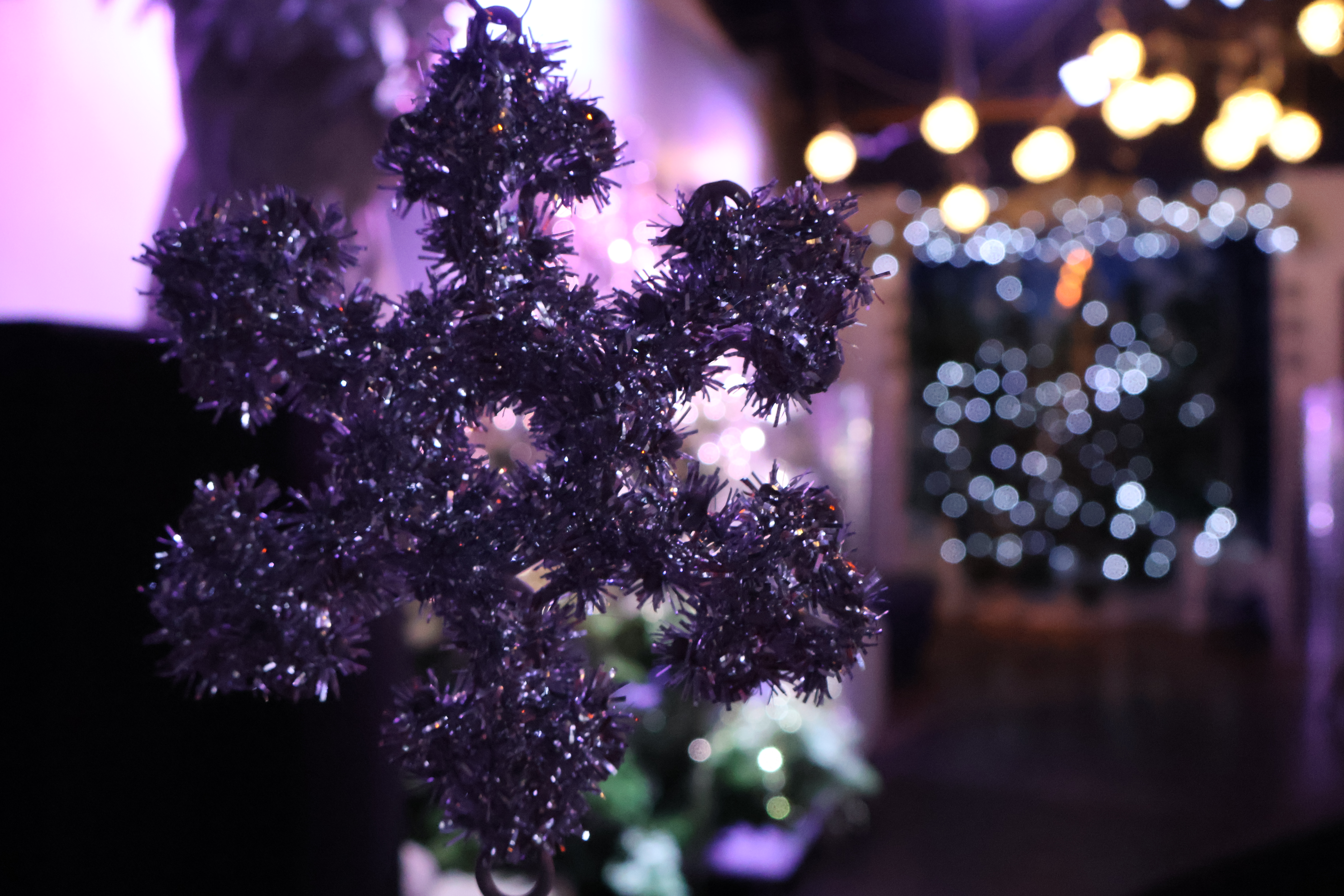 Winter Wonderland Twitter header