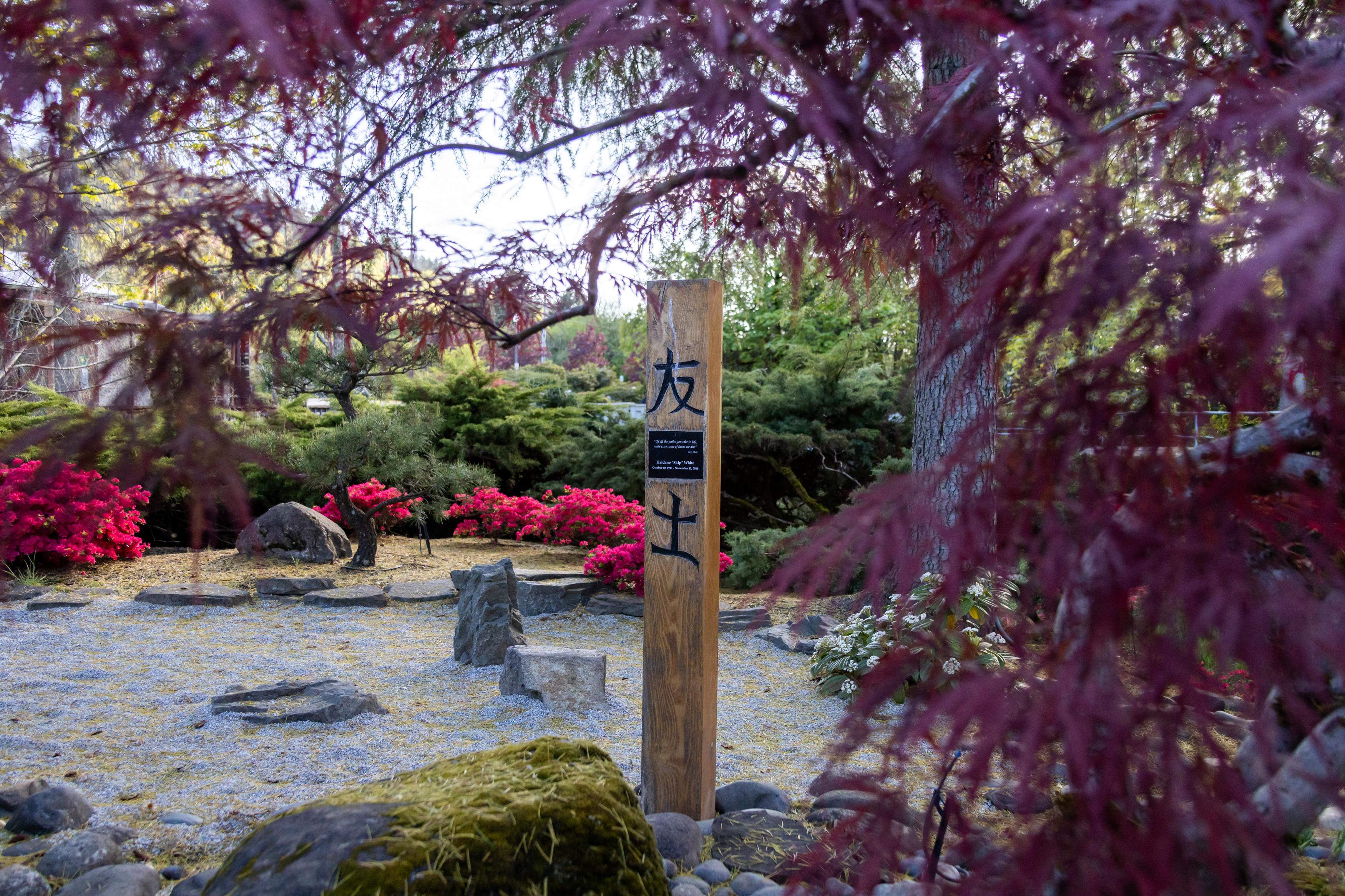 Thanks to volunteers, Gresham's Japanese Garden is thriving on a