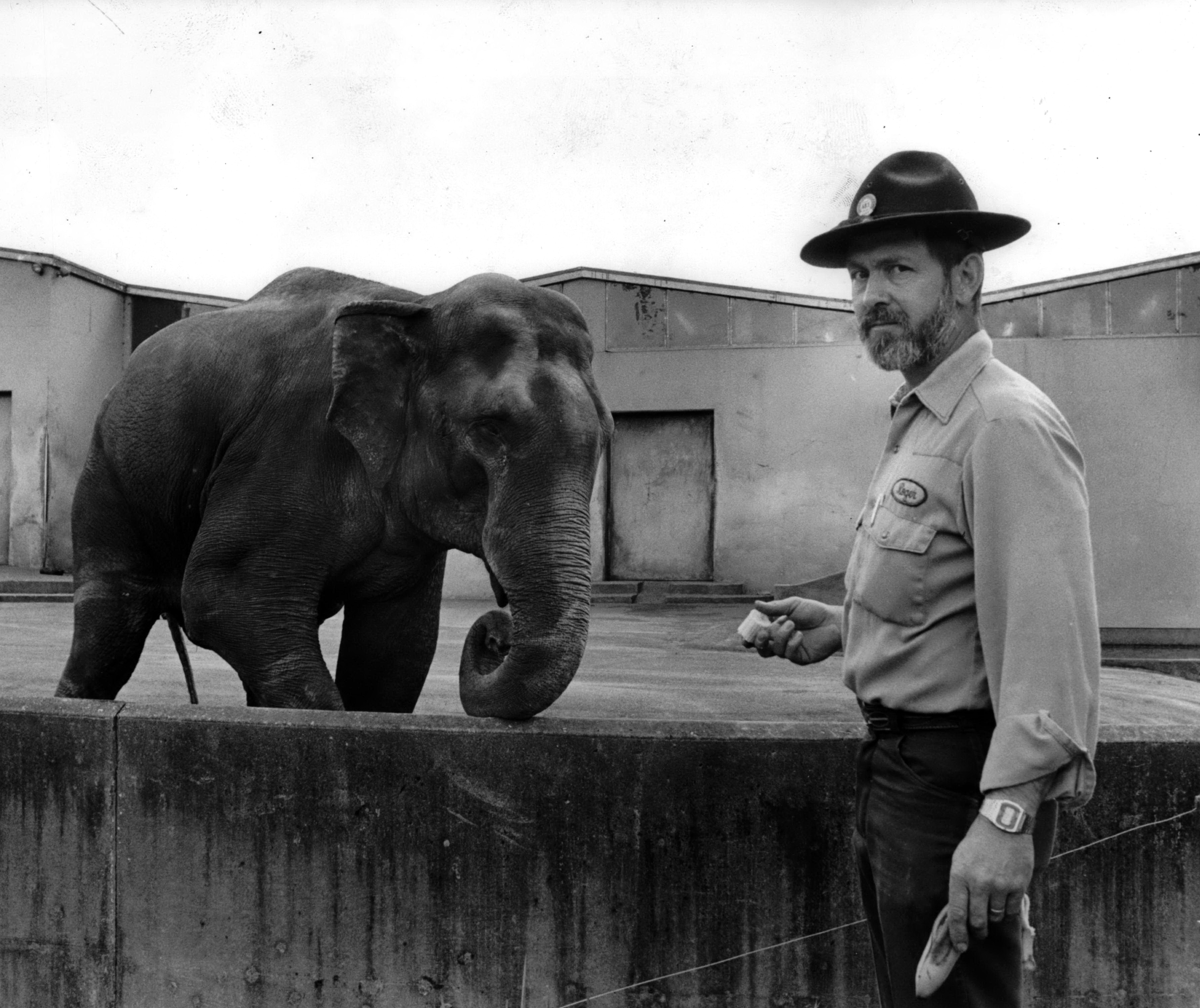 Elephant Speak' tells the tale of longtime Oregon Zoo keeper and