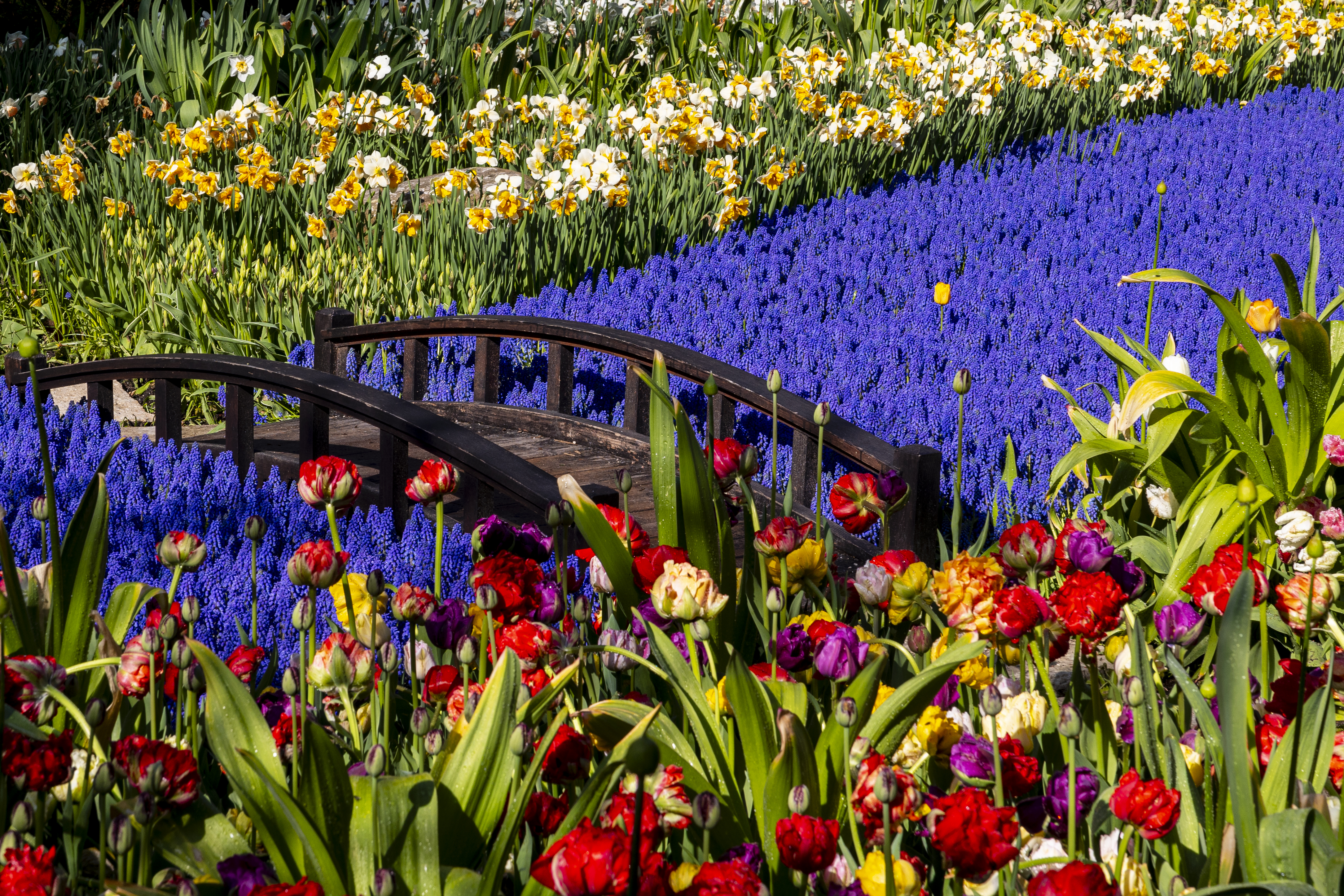 美品BRIDGE 43 Secret Garden Grand Hotel's Secret Garden 2024 - mlive.com