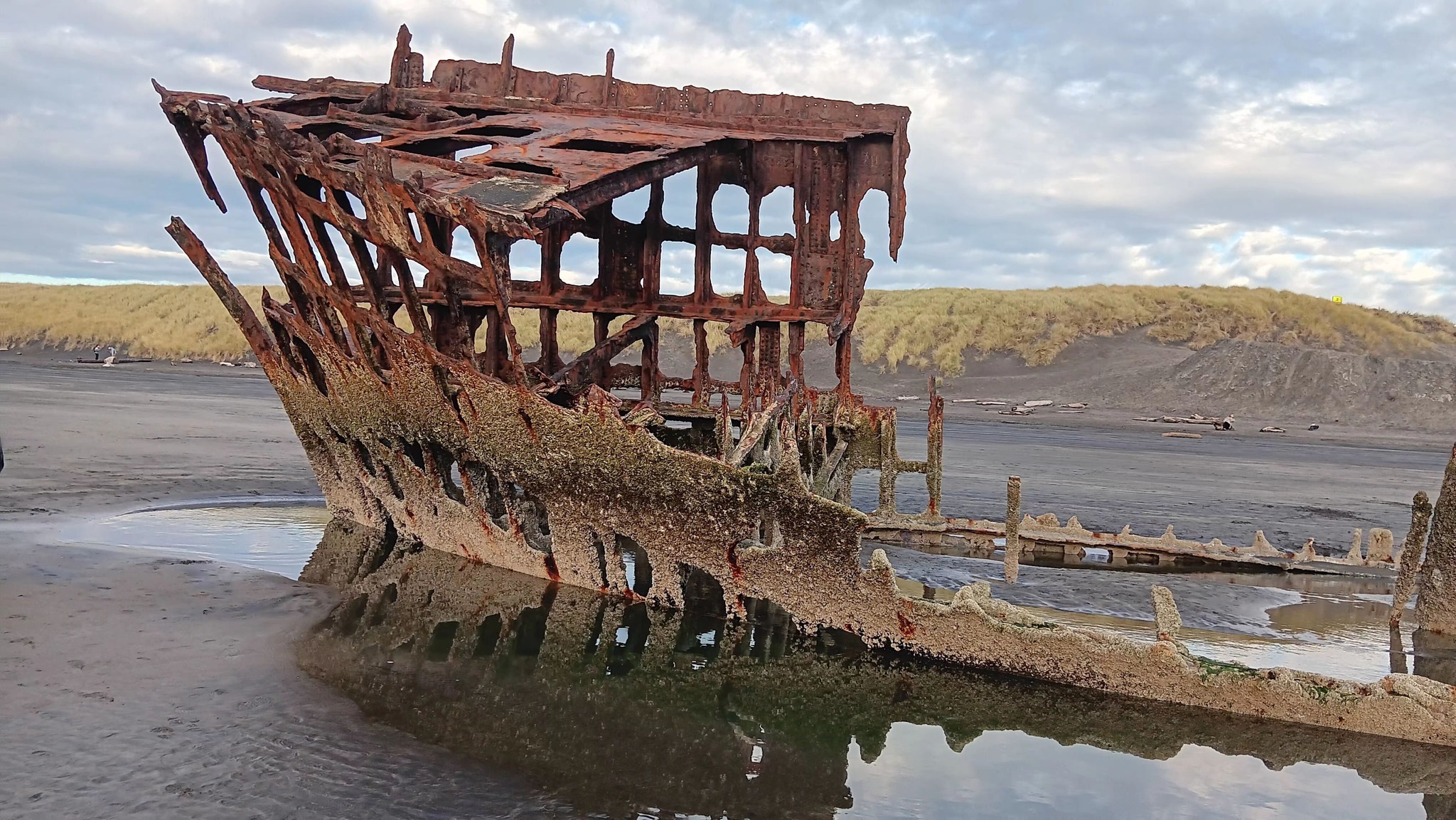 Peter Iredale shipwreck exposed October 2023 - oregonlive.com