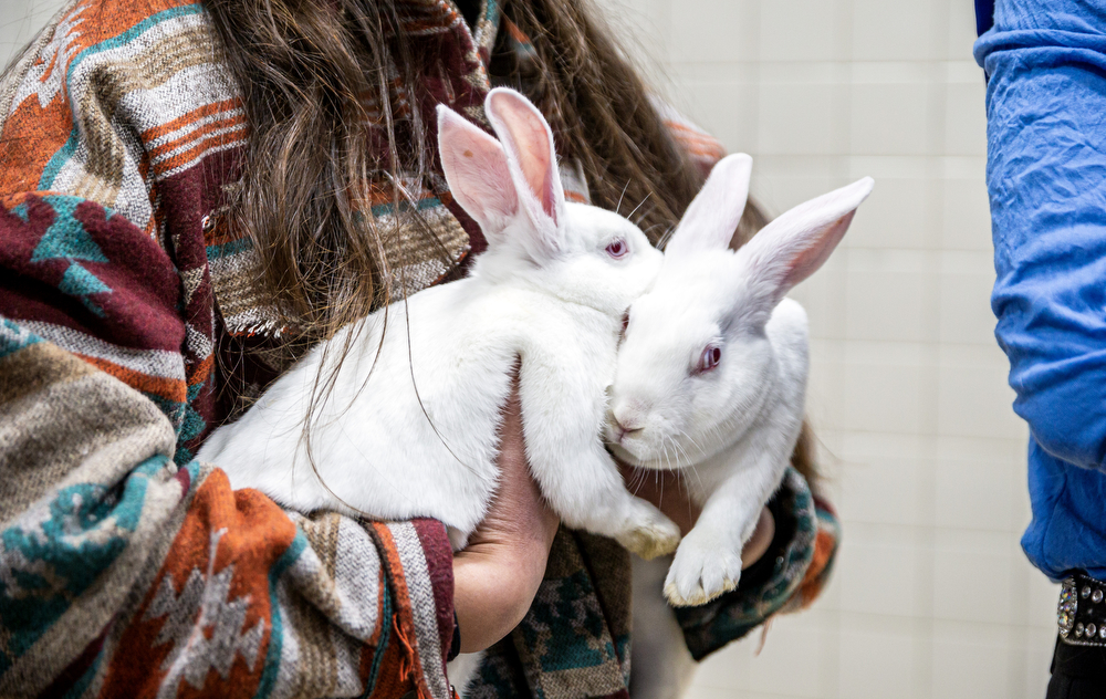 Pa. Farm Show 2023 Day 4