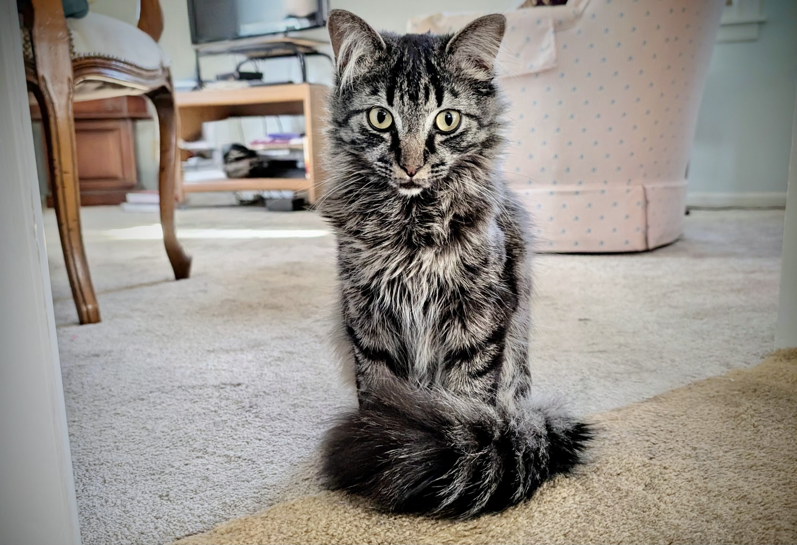 NGGOFLO7ZFHQPIC7HAVAYM4QX4.jpeg