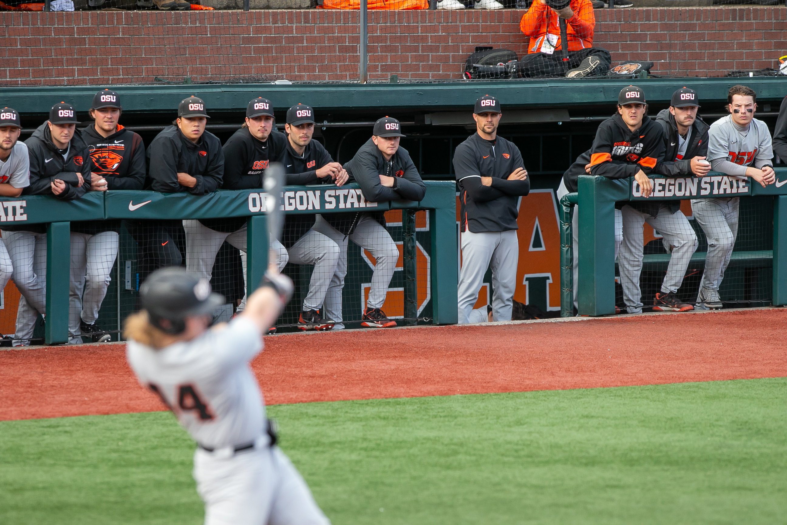 Oregon State Beavers vs. Vanderbilt in Corvallis Regional 