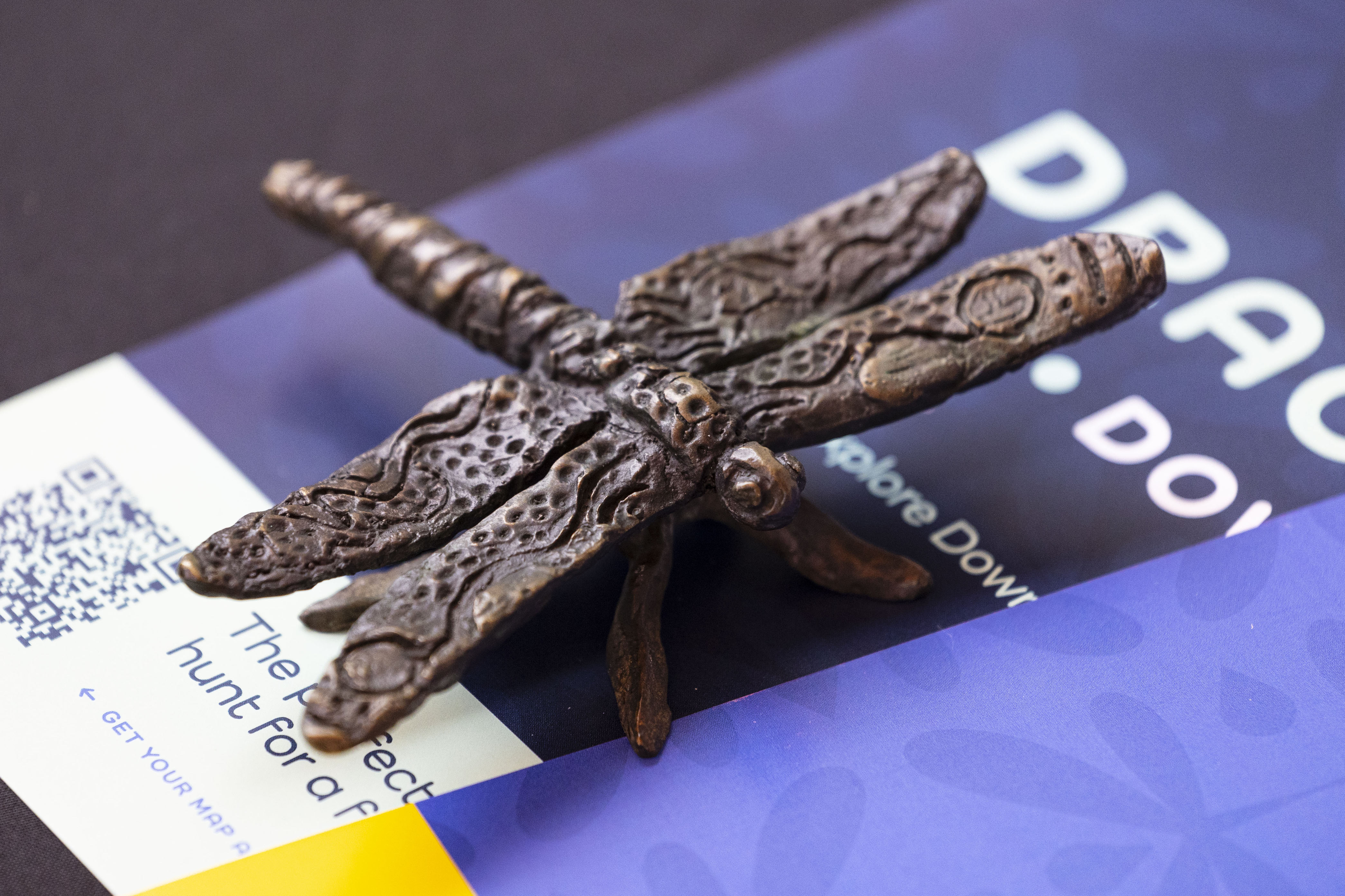 Grand Rapids launches 25 bronze dragonflies for citywide scavenger