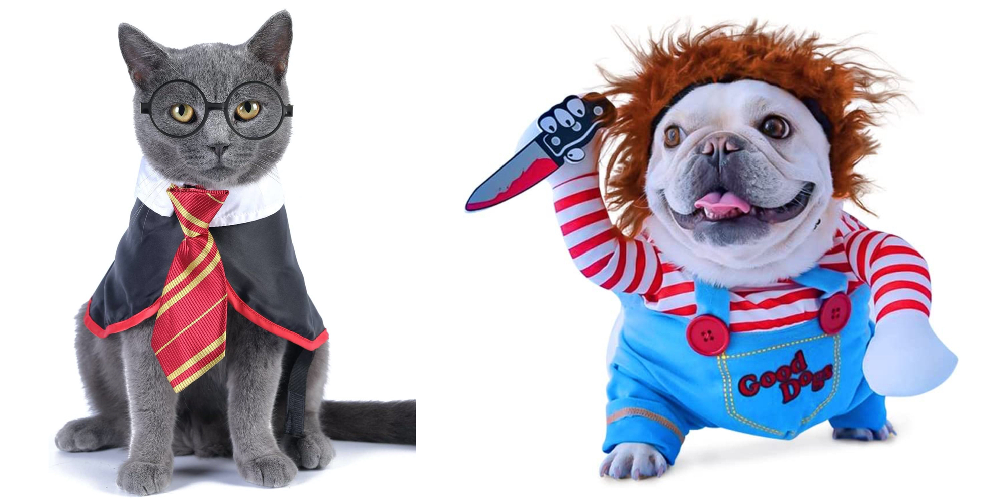 10 Halloween pet costume ideas for your furry friend 