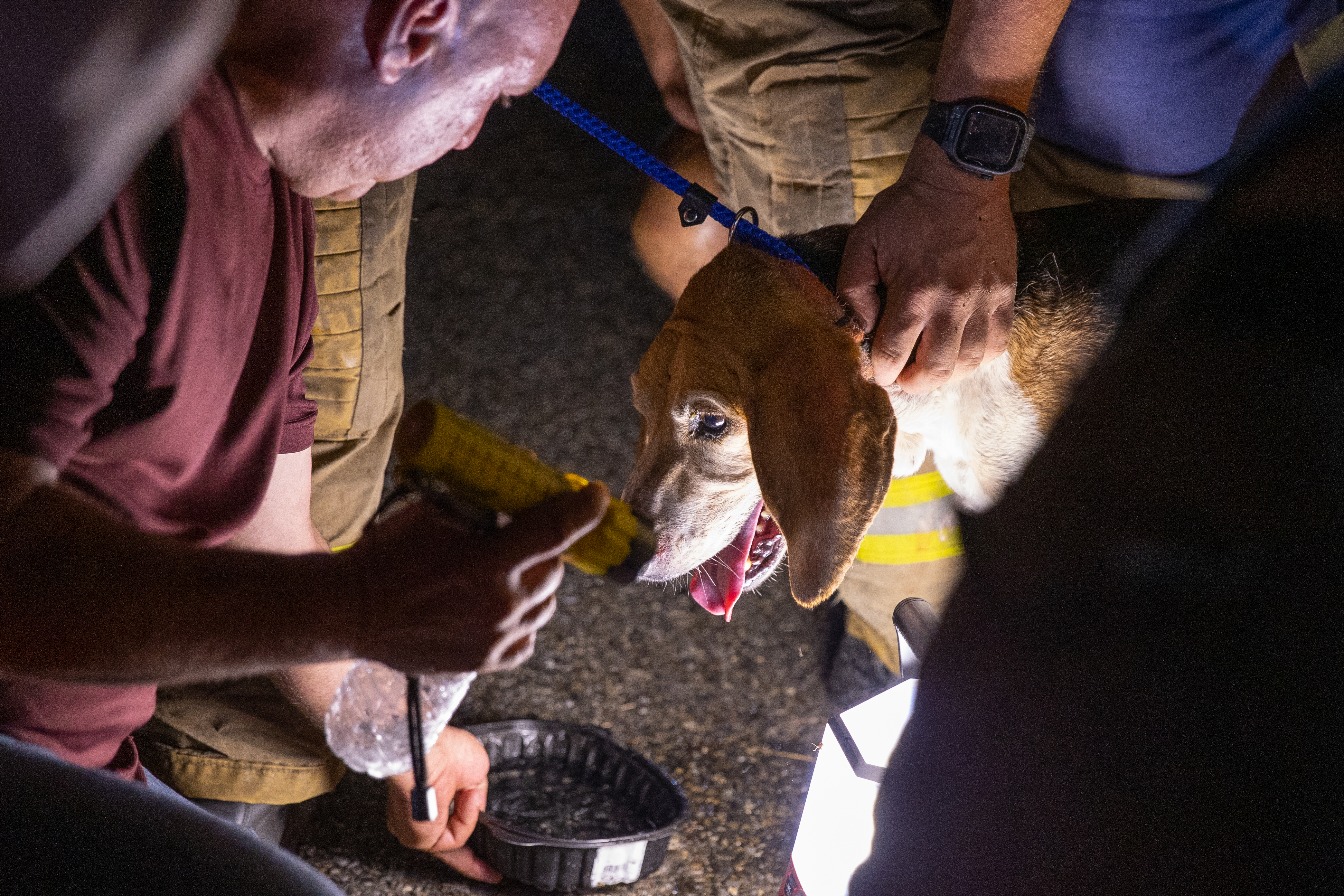 Dylan, an 8 year old coonhound lost for a week, is rescued from 140-150 feet into an 18 inch drain pipe in Medford, NJ on Saturday, July 23, 2022. Dylan was rescued after 5 hours and 47 minutes in a group effort that included Medford fire, police, public works, and members of the community.
