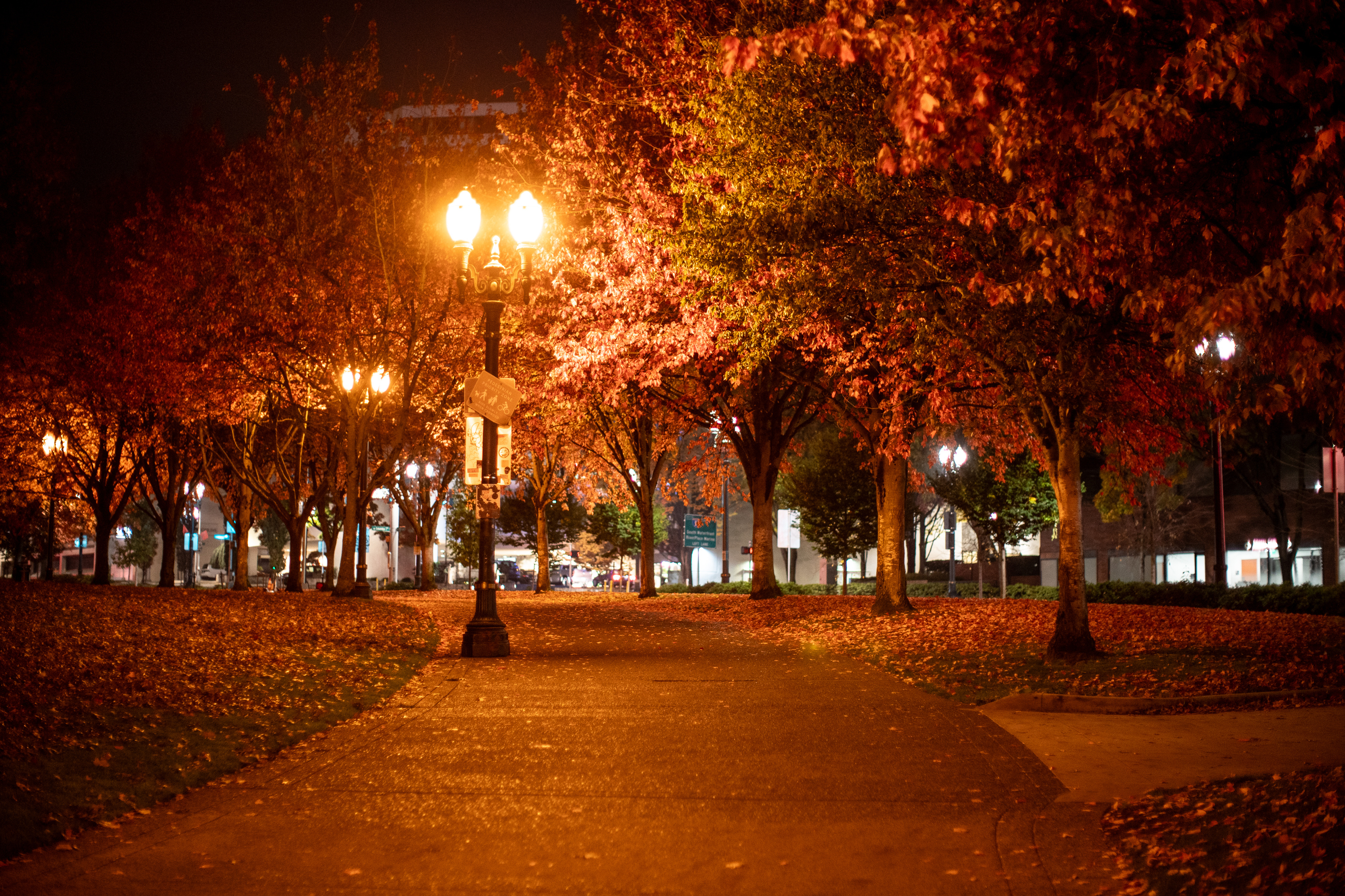 A fall Portland night November 7, 2024 - oregonlive.com