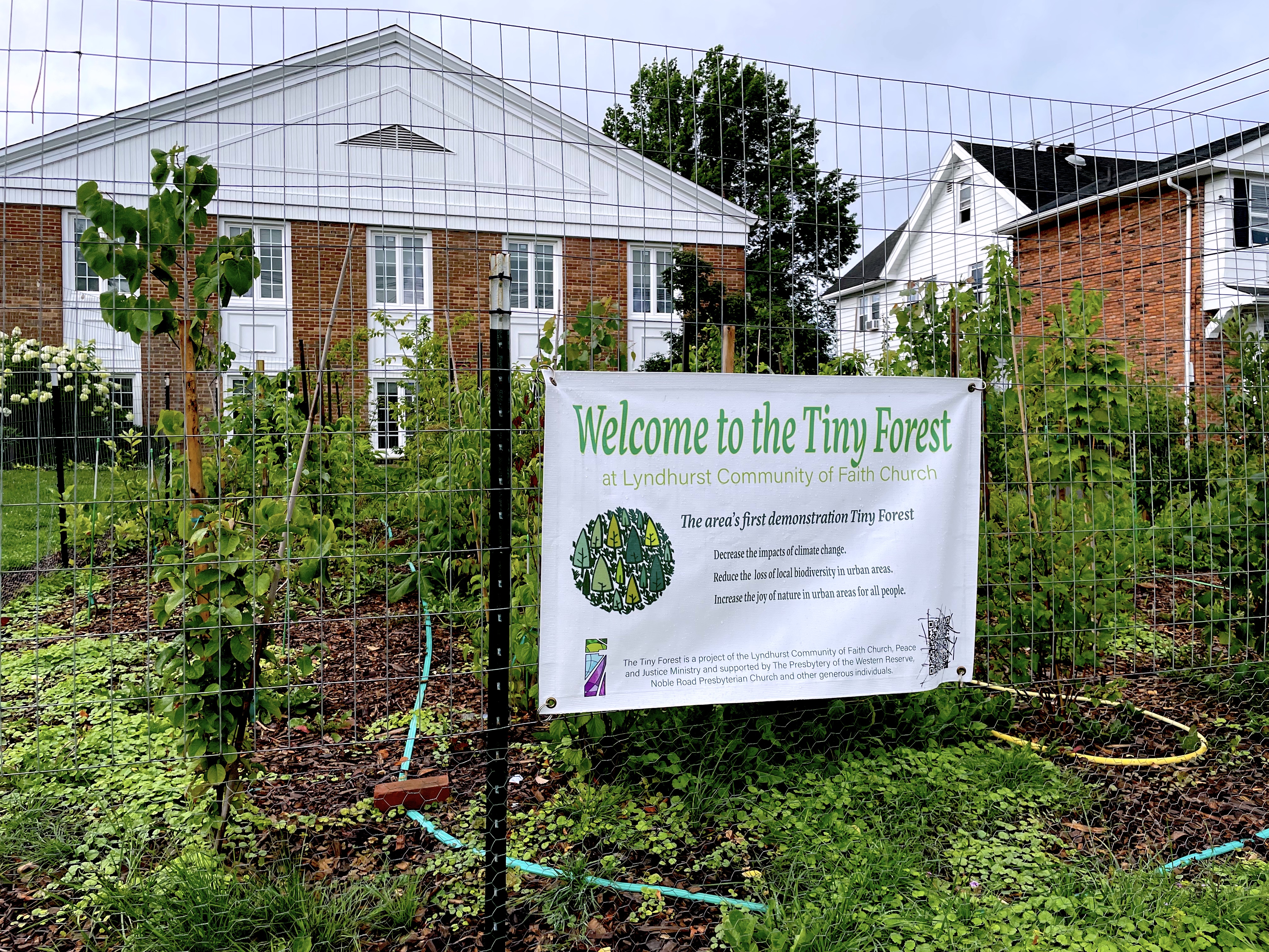 This is how tiny urban forests can boost biodiversity