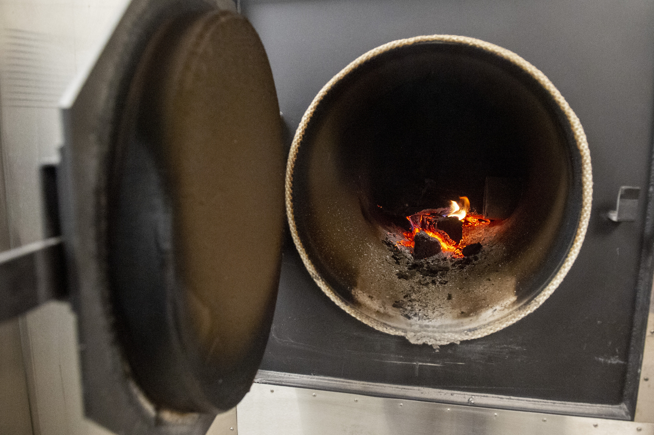 Ricewood opens brickandmortar location on Maple Road in Ann Arbor