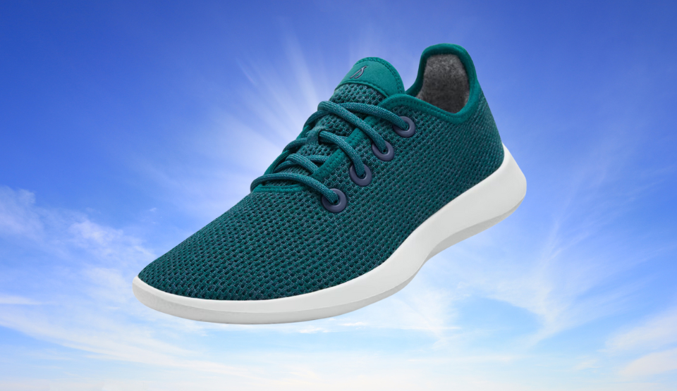 Allbirds tree runners on sale blue