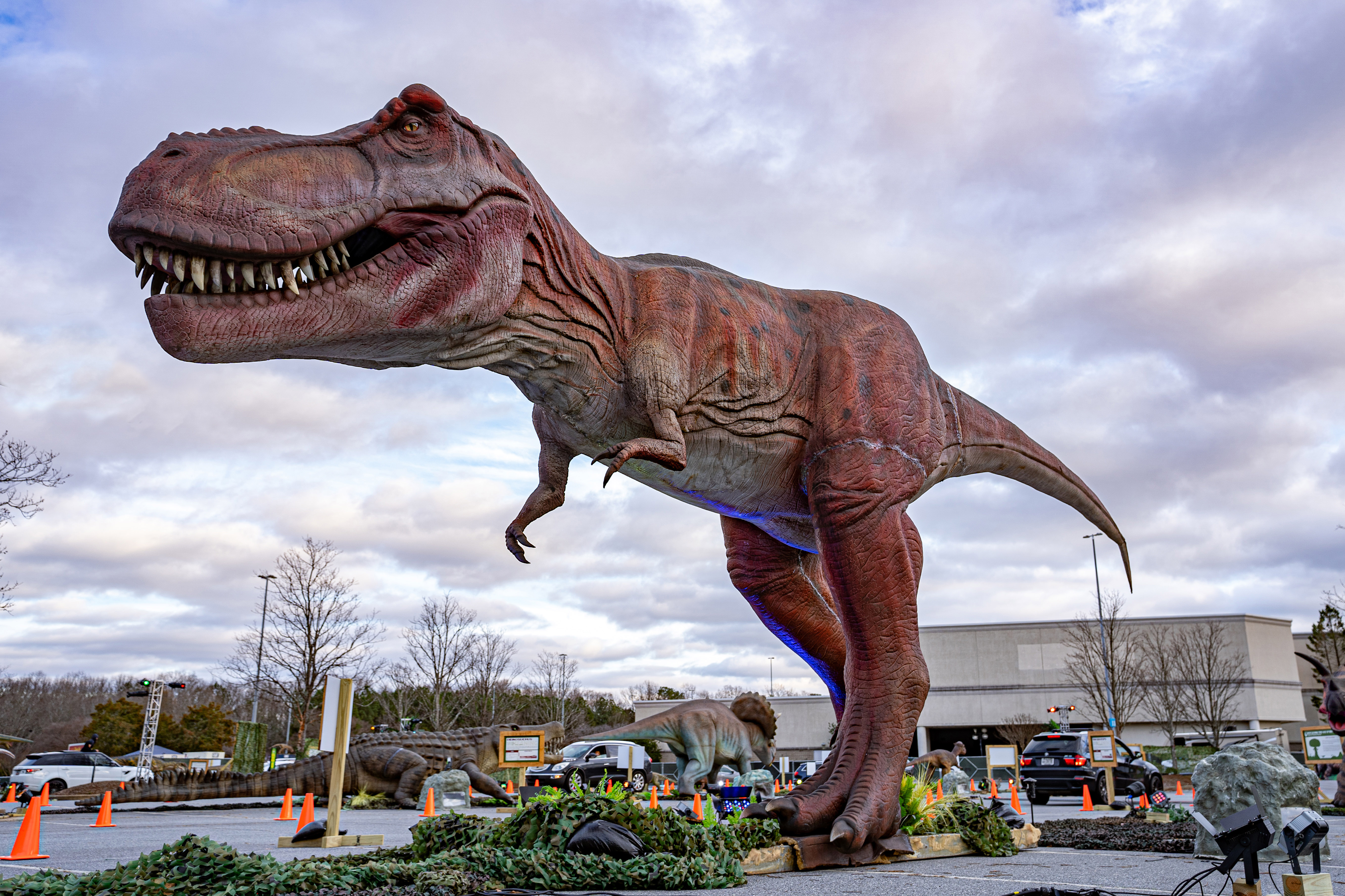 Another Dinosaur Safari Is Roaring Its Way To N J Mall Nj Com