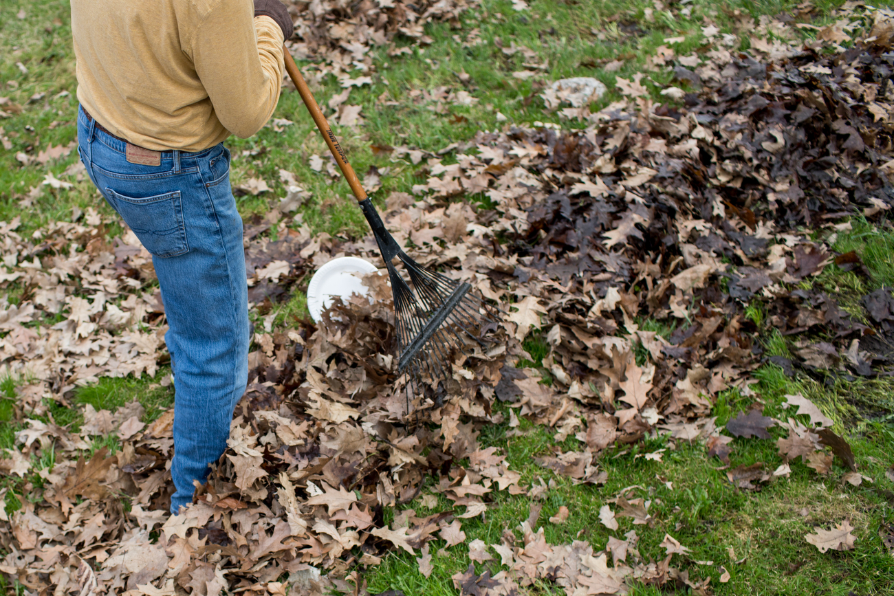 New Yard Waste Collection begins October 1 – No Plastic Bags