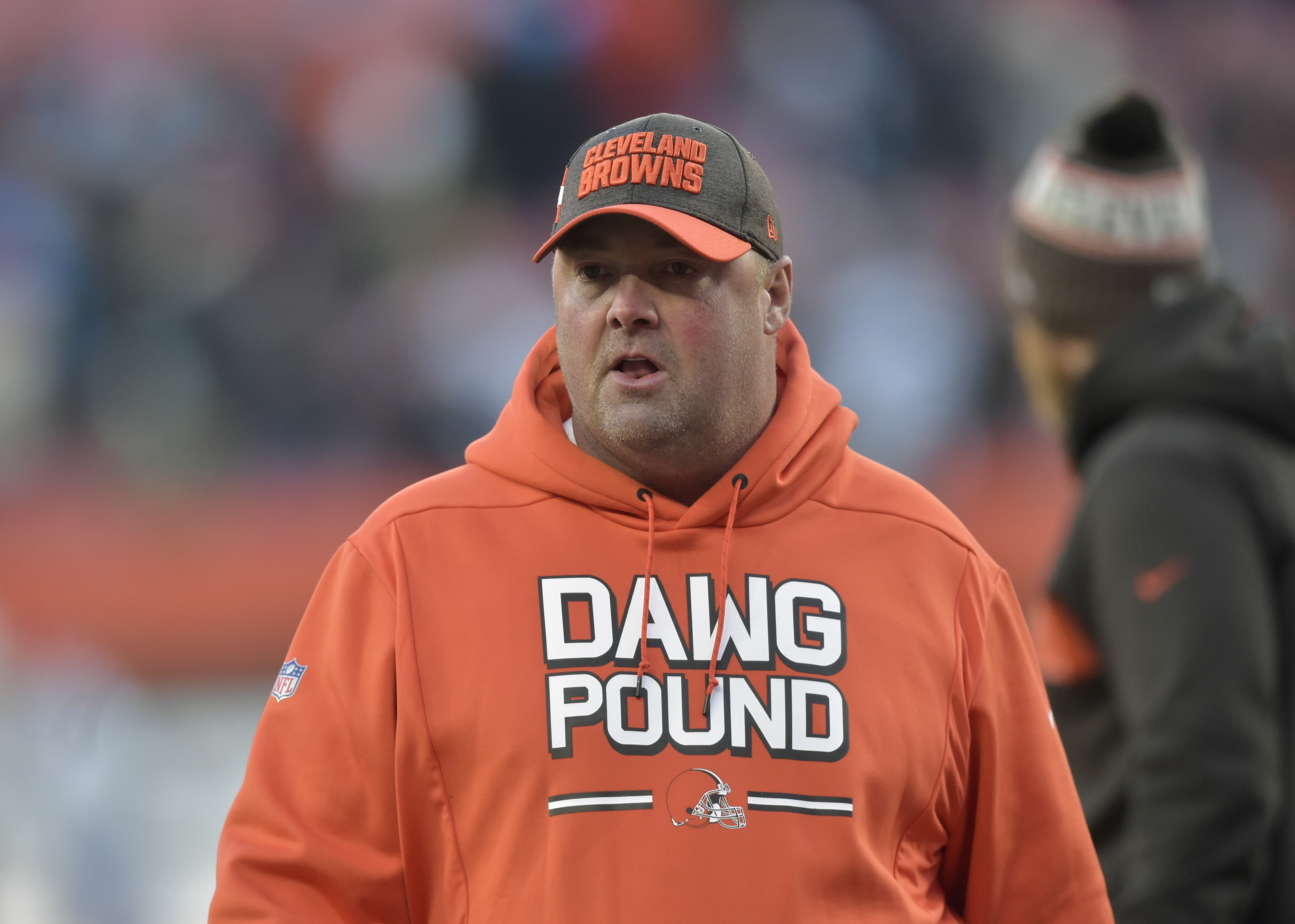 Can you buy Freddie Kitchens' favorite Dawg Pound hoodie anywhere? -  cleveland.com