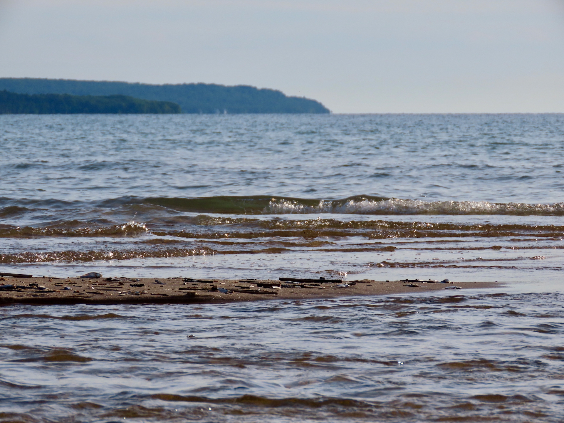 Lake Michigan alewife dieoff