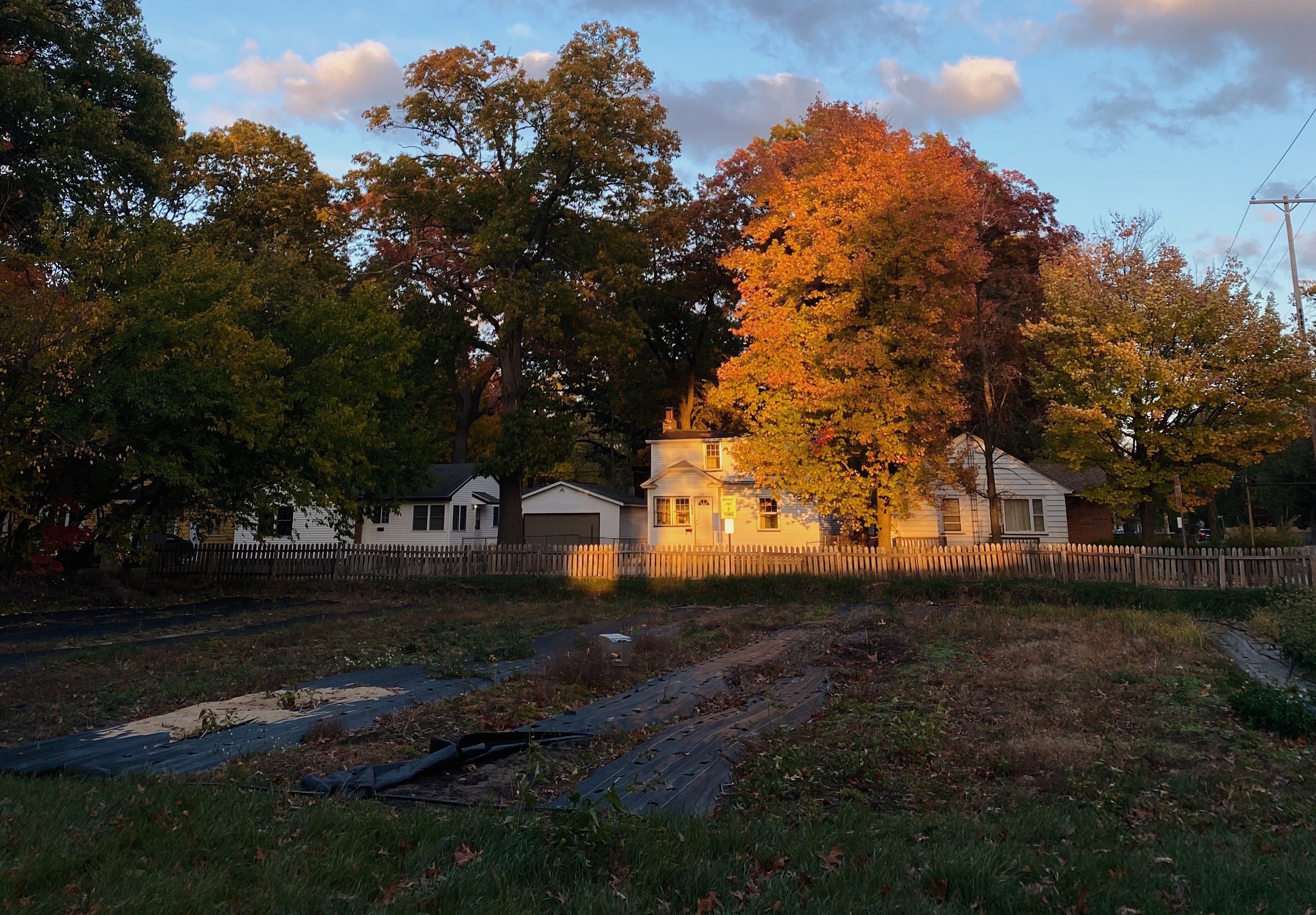 Muskegon urban farms provide community fresh produce