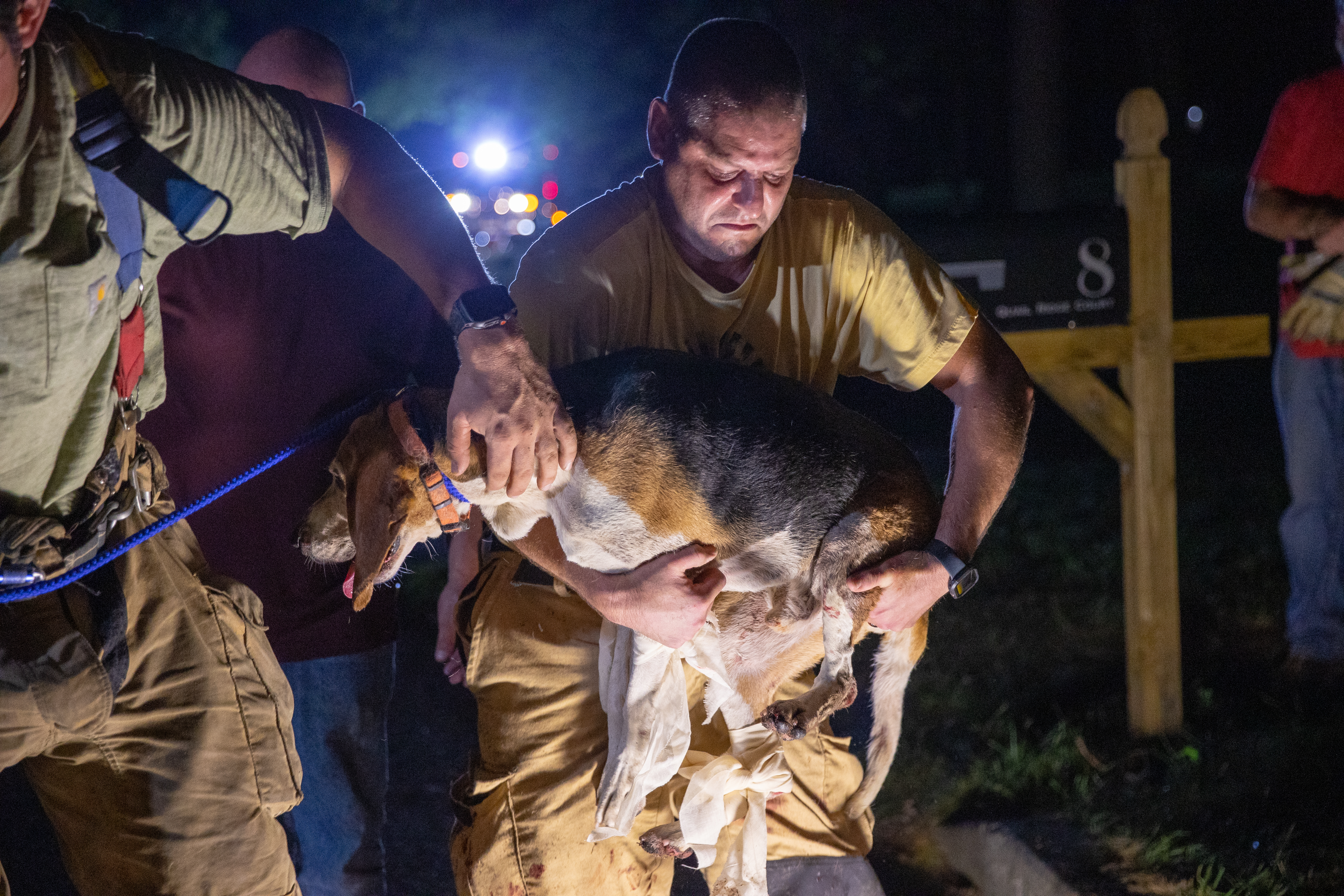 Medford Fire and EMS Chief Rob Dovi picks up Dylan, an 8 year old coonhound lost for a week, after rescuers removed the dog from 140-150 feet into an 18 inch drain pipe in Medford, NJ on Saturday, July 23, 2022. Dylan was rescued after 5 hours and 47 minutes in a group effort that included Medford fire, police, public works, and members of the community.