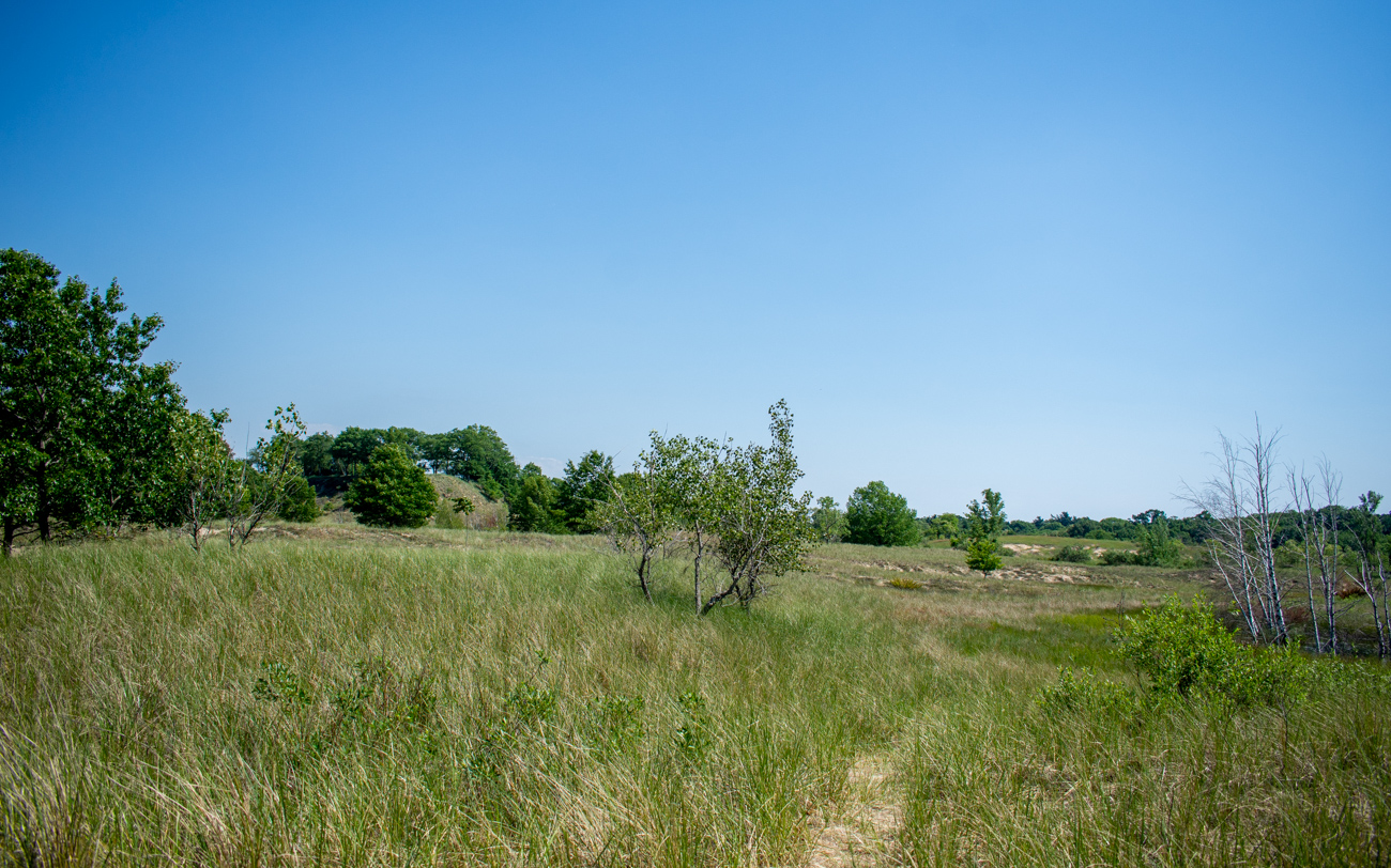 Location of the planned Docks housing development