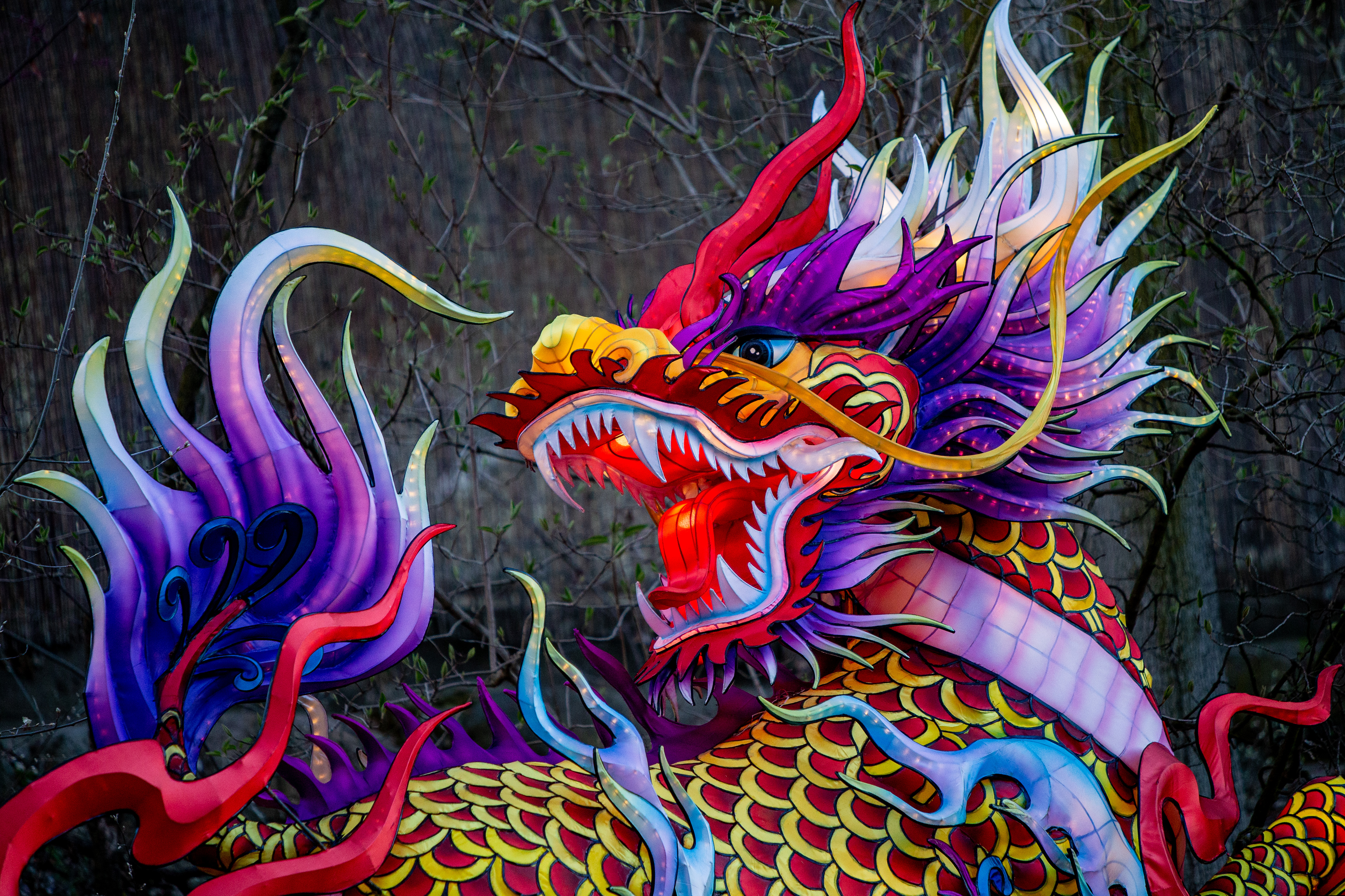 Grand Rapids Lantern Festival opens at John Ball Zoo - mlive.com