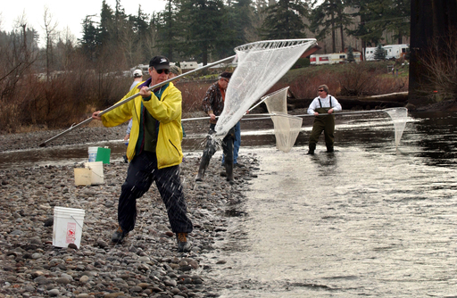 Sandy River smelt dipping starts today; rare one-day season opens