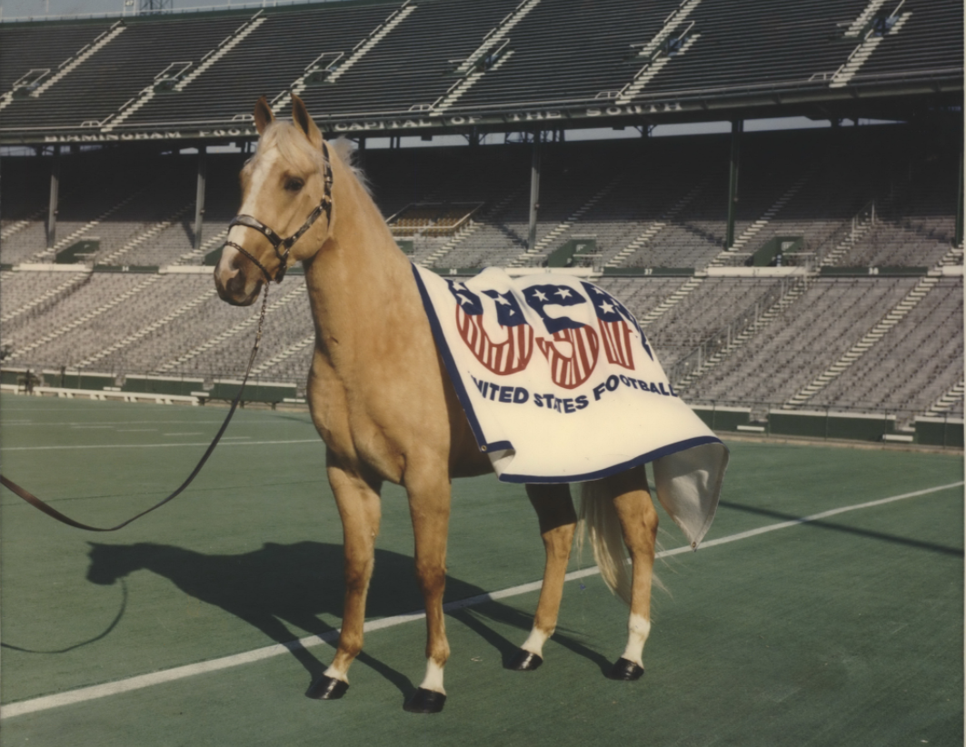 Revival of the USFL's Birmingham Stallions brings back memories