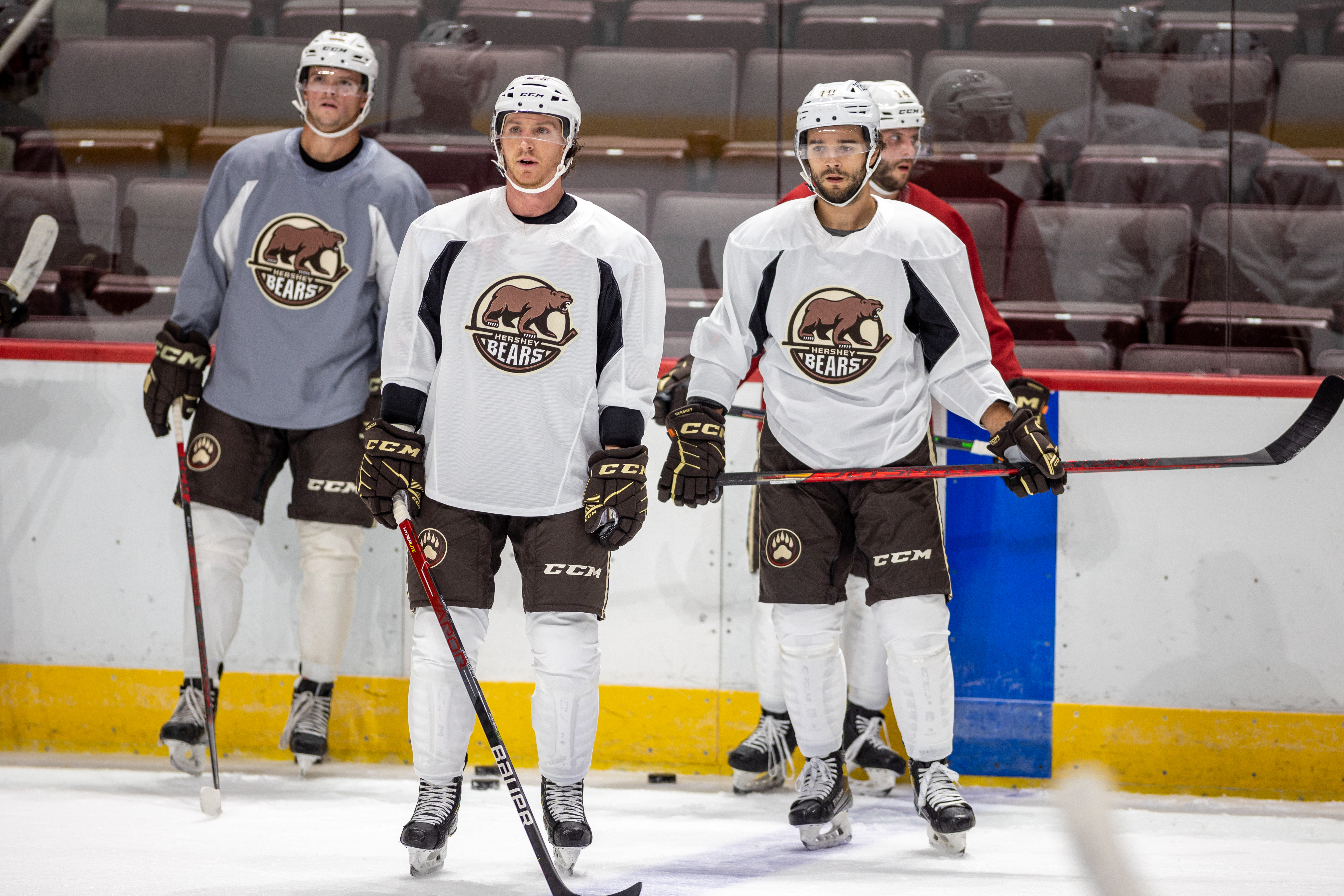 Hershey Bears hold first day of training camp ahead of 2022-2023