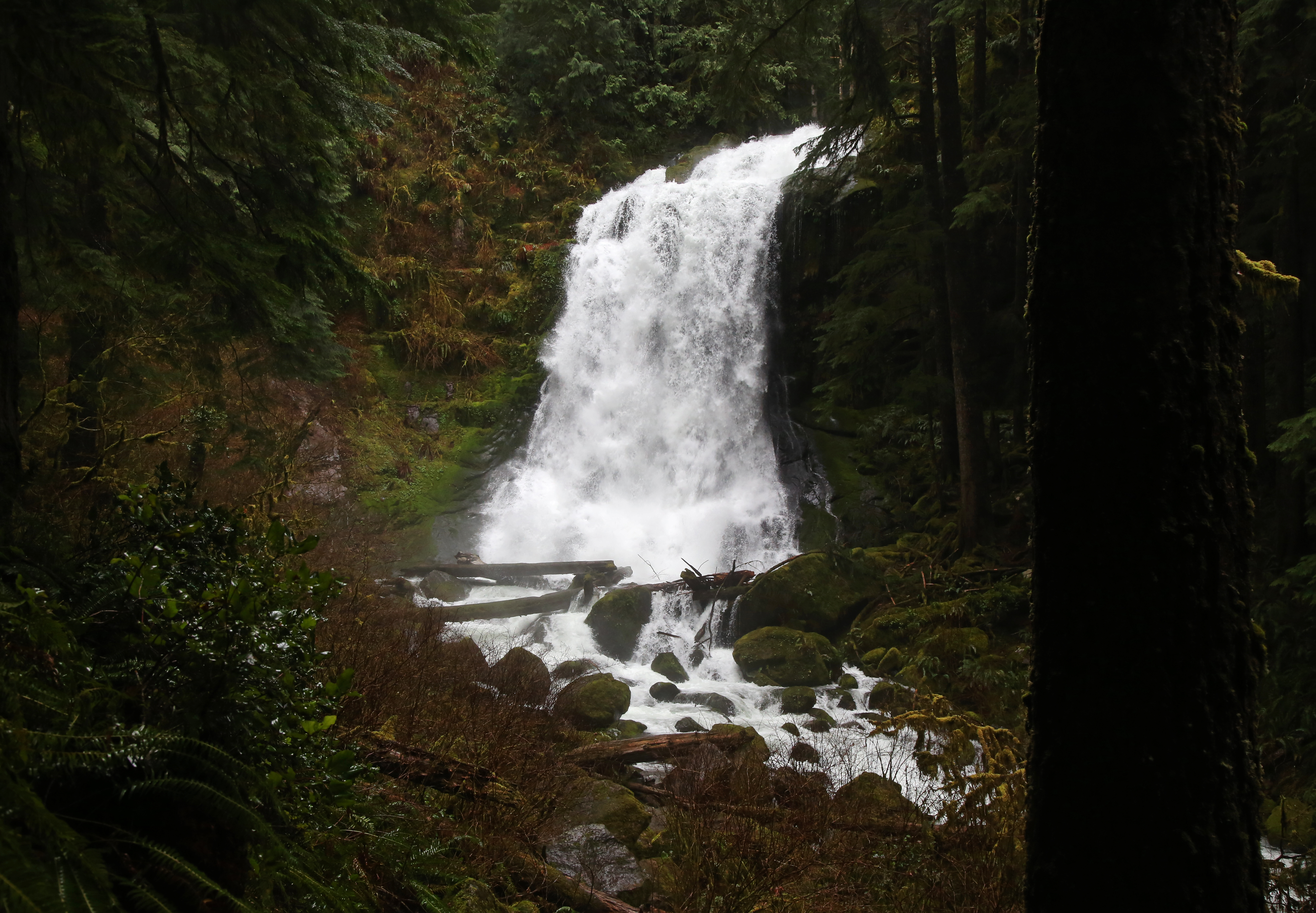 Beautiful waterfalls are hidden everywhere in Oregon's Coast Range