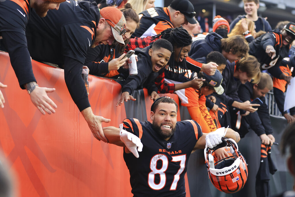 CINCINNATI, OH - DECEMBER 26: Cincinnati Bengals tight end C.J.