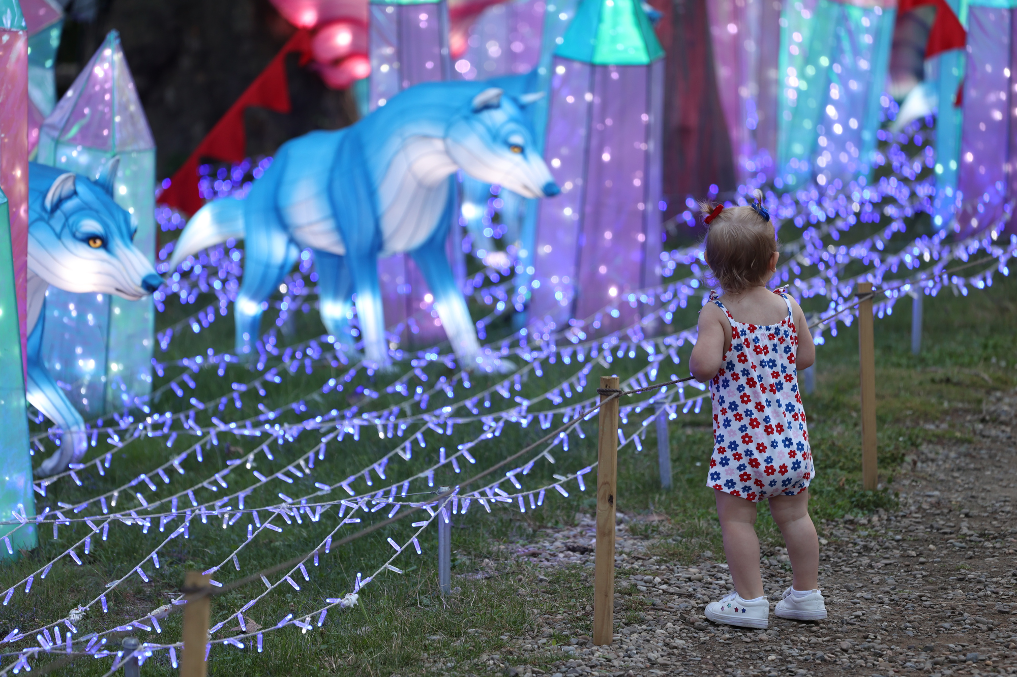 Asian Lantern Festival opens at Cleveland Metroparks Zoo: See