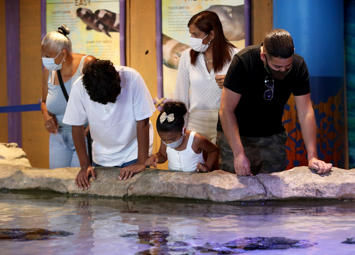 Adventure Aquarium in Camden reopens following coronavirus shutdown