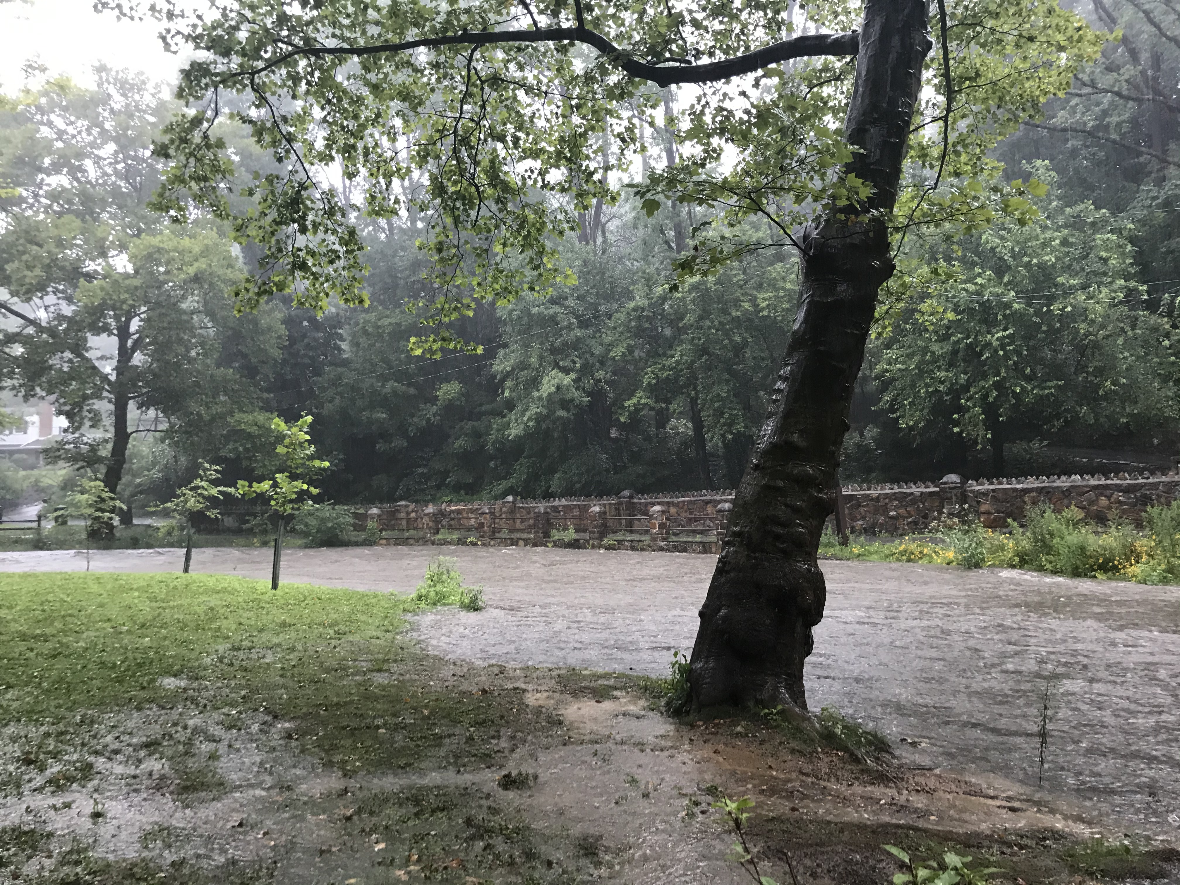 Tropical Storm Isaias hits the Lehigh Valley Aug. 4, 2020 ...
