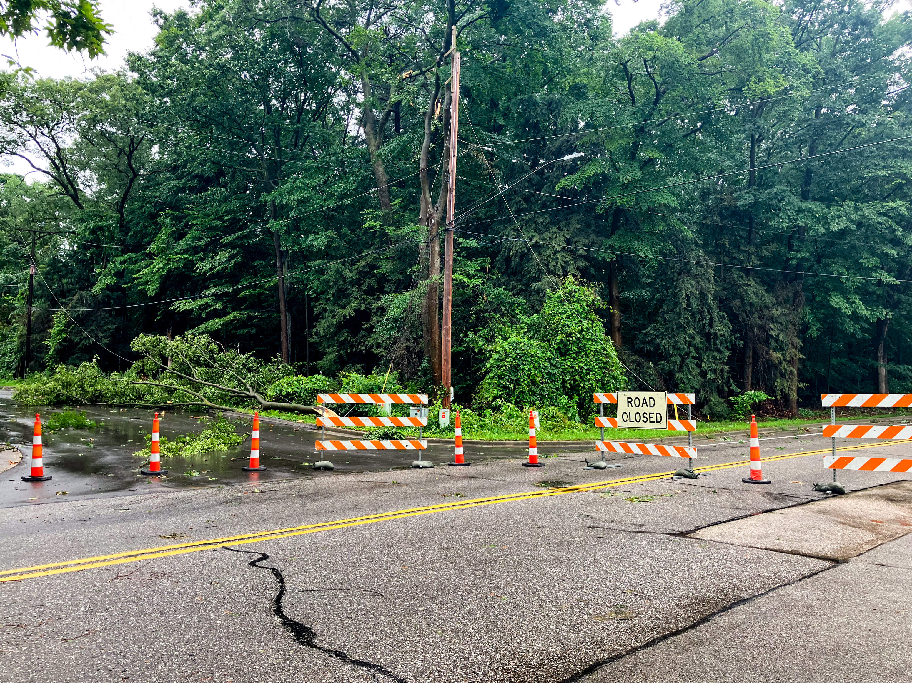 Storm leaves thousands in Muskegon without power, tree damage - mlive.com