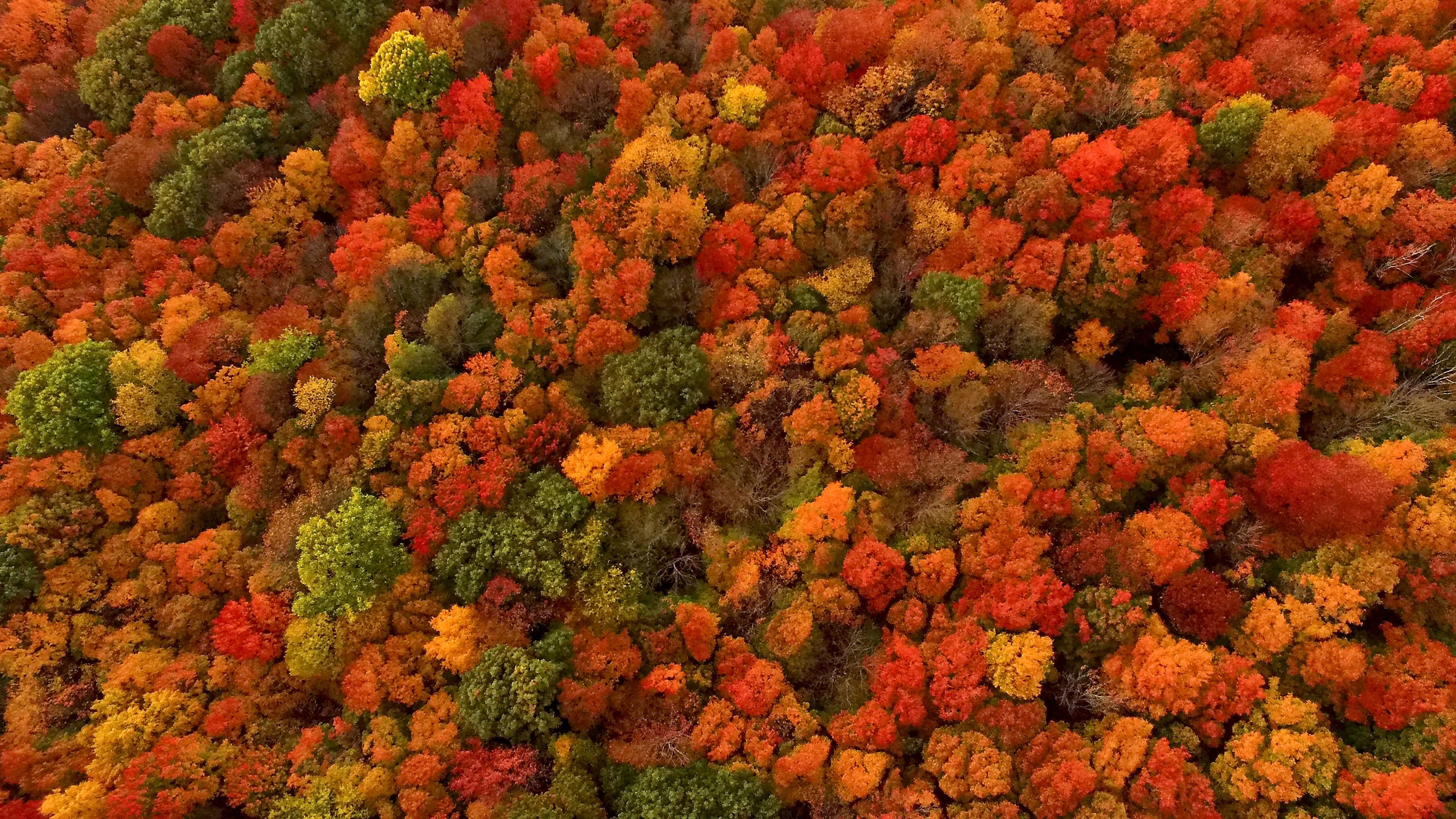 Catskills Fall Foliage - Boutique Hotels Upstate NY