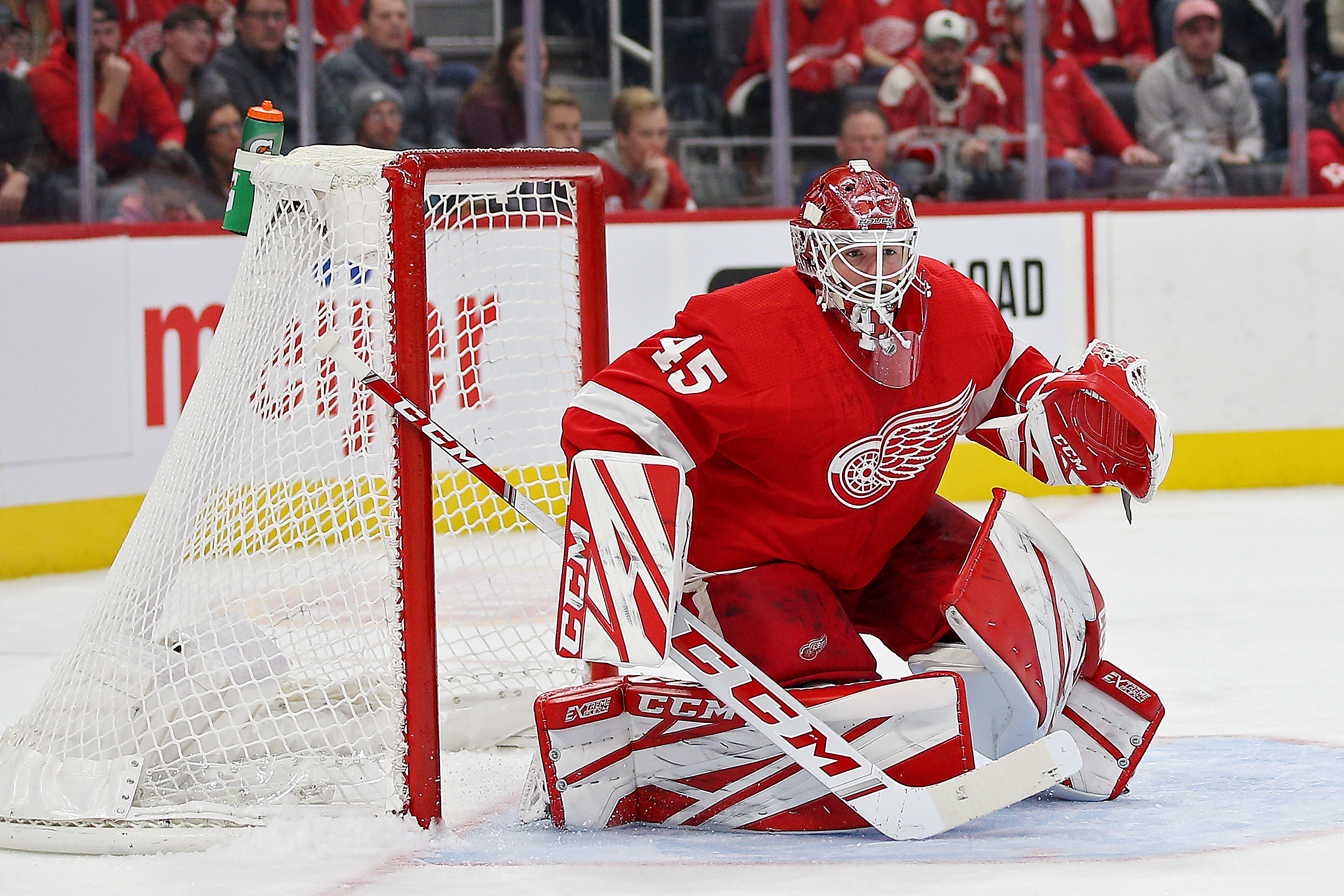 The Detroit Red Wings once again have a franchise goaltender