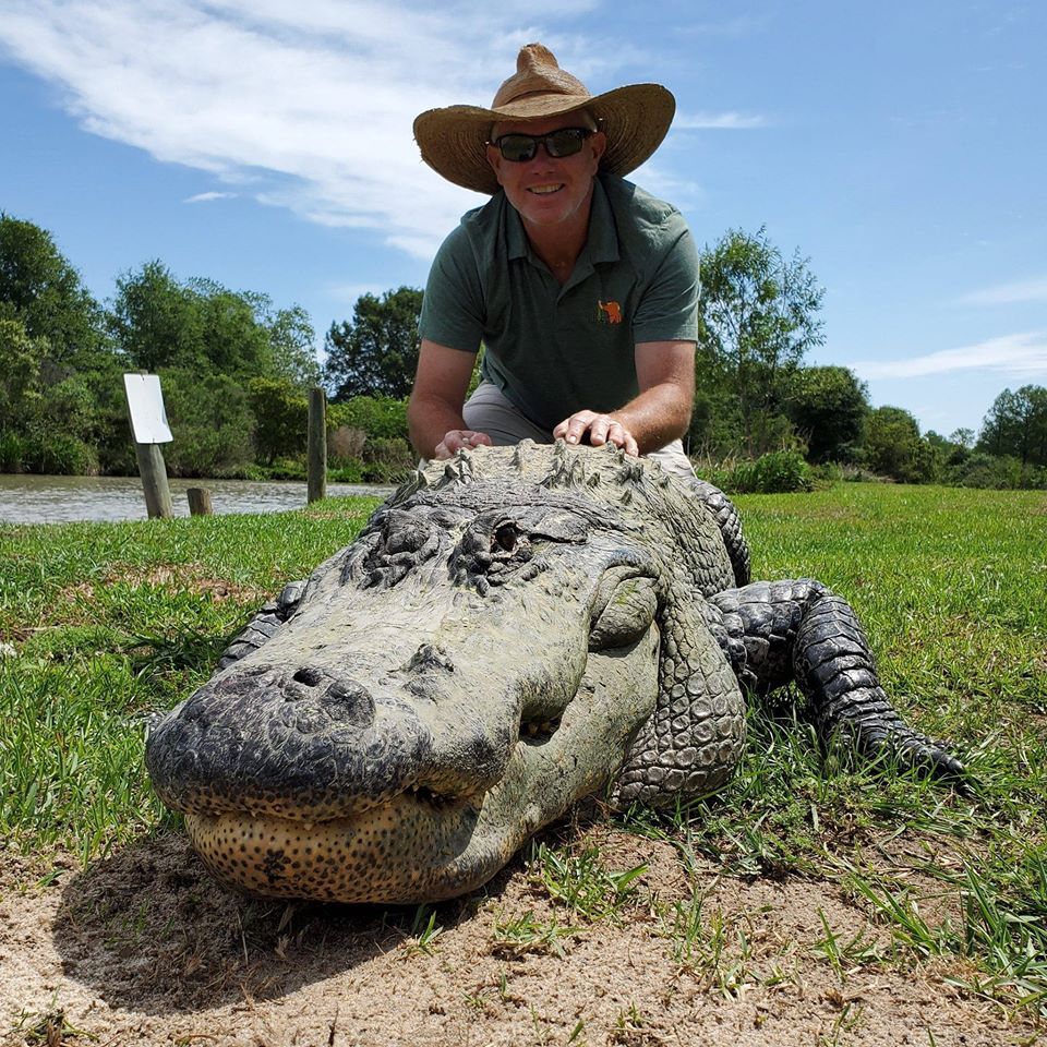 Alligator Alley - al.com