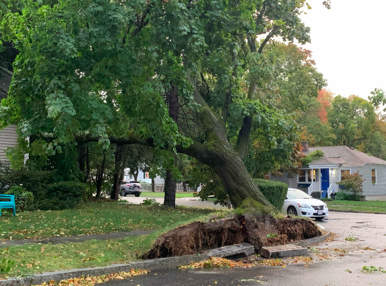 Severe storm on Wednesday, Oct. 7, 2020 leaves thousands without power ...