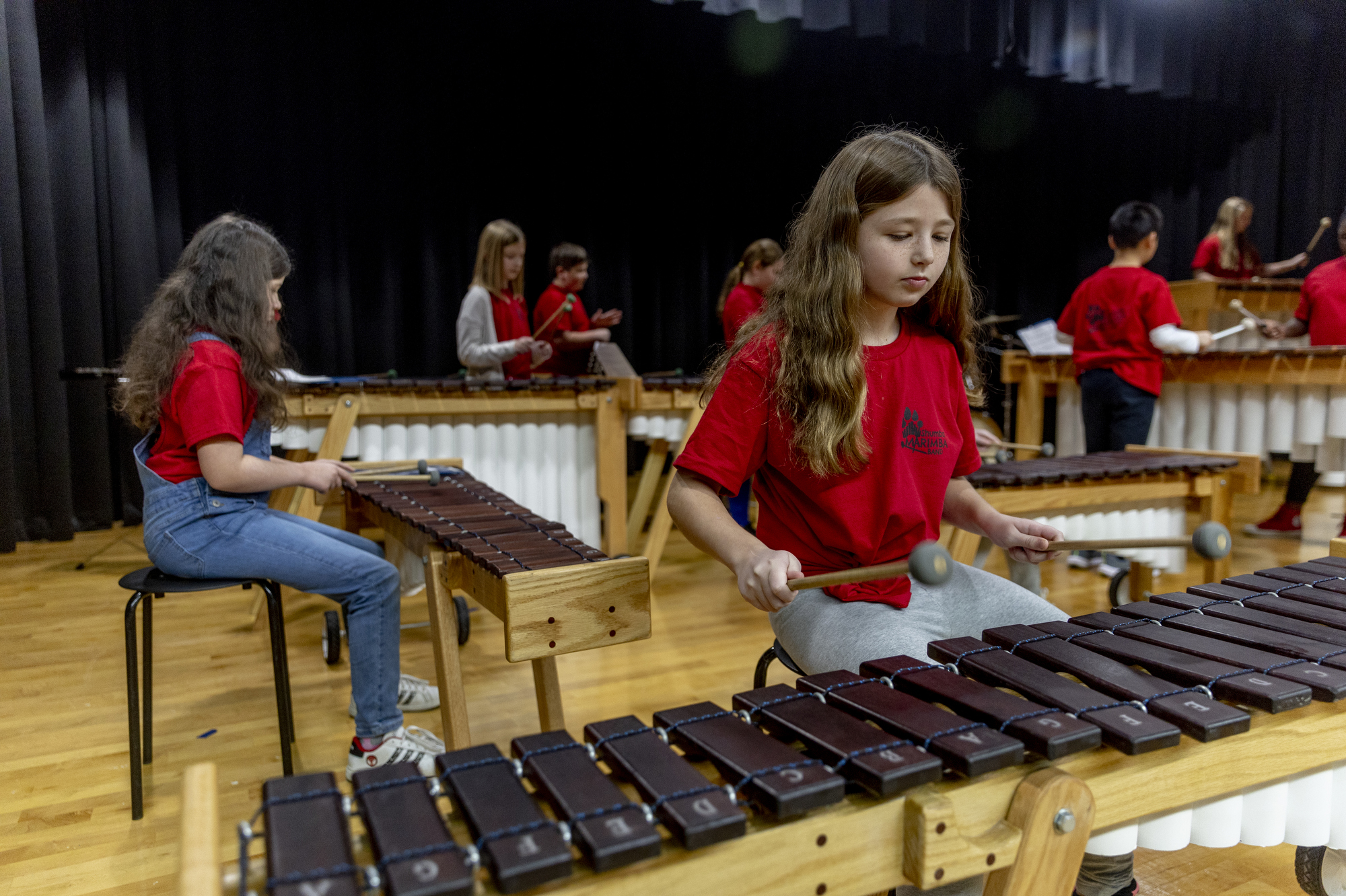 Grand Blanc schools provides unique marimba band class with handmade