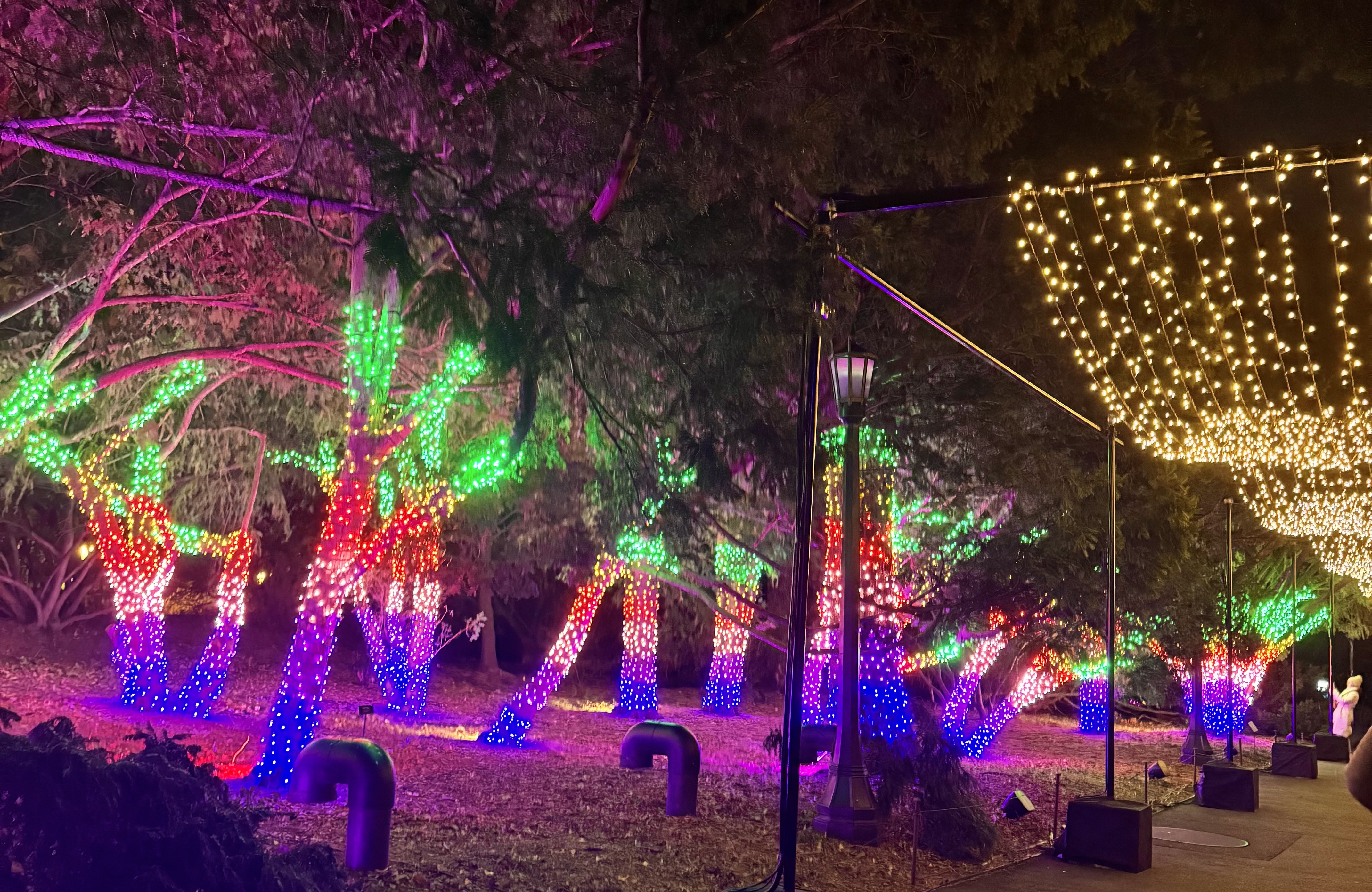 Brooklyn Botanic Garden's stunning 'Lightscape' features over 1