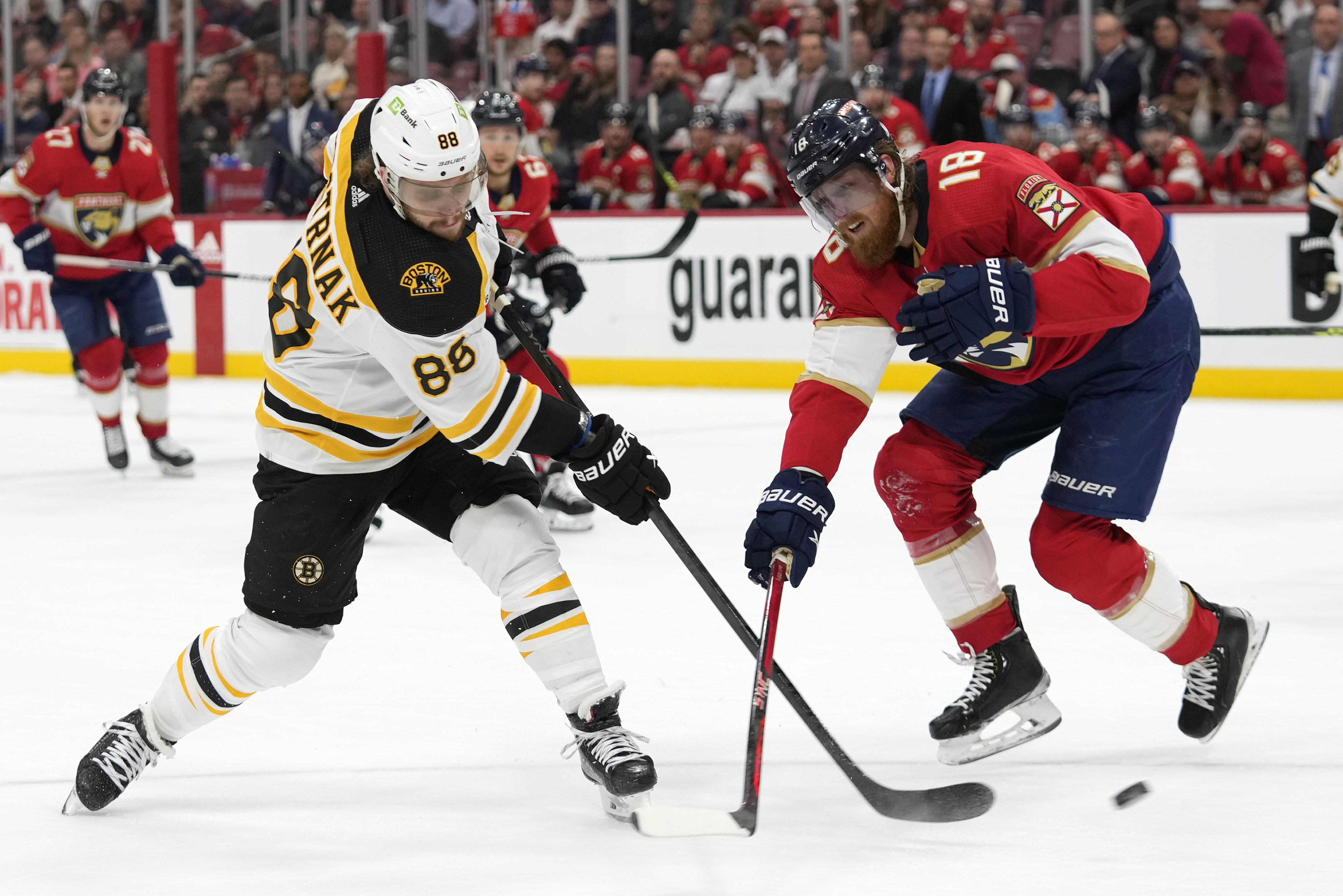 Bruins vs. Panthers Game 7: Free live stream, TV, how to watch NHL Playoffs  2023 