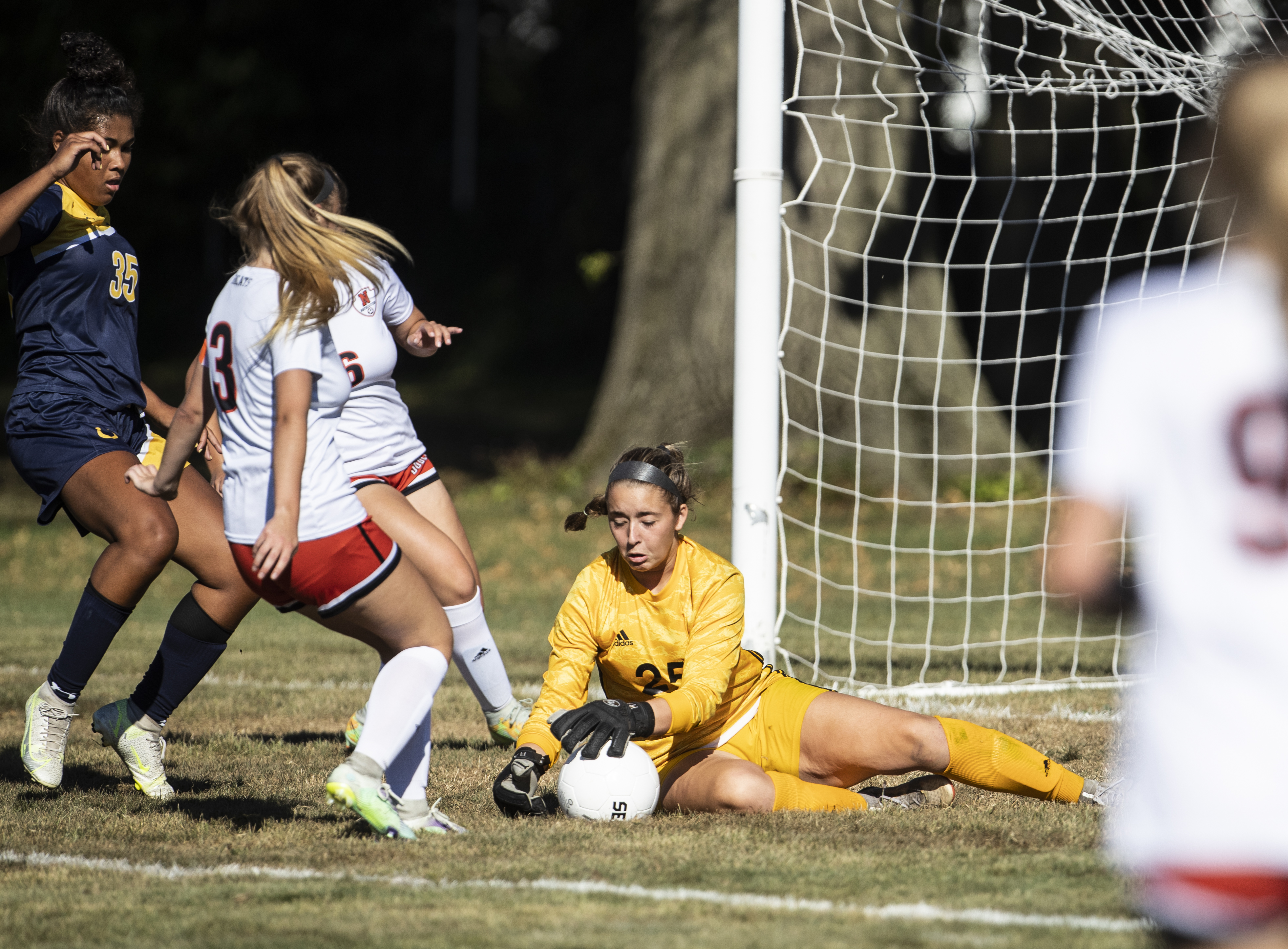 Katie Kopenhaver, Taylor Ferraro each score 2 goals for Cedar Cliff in win  against Dover 