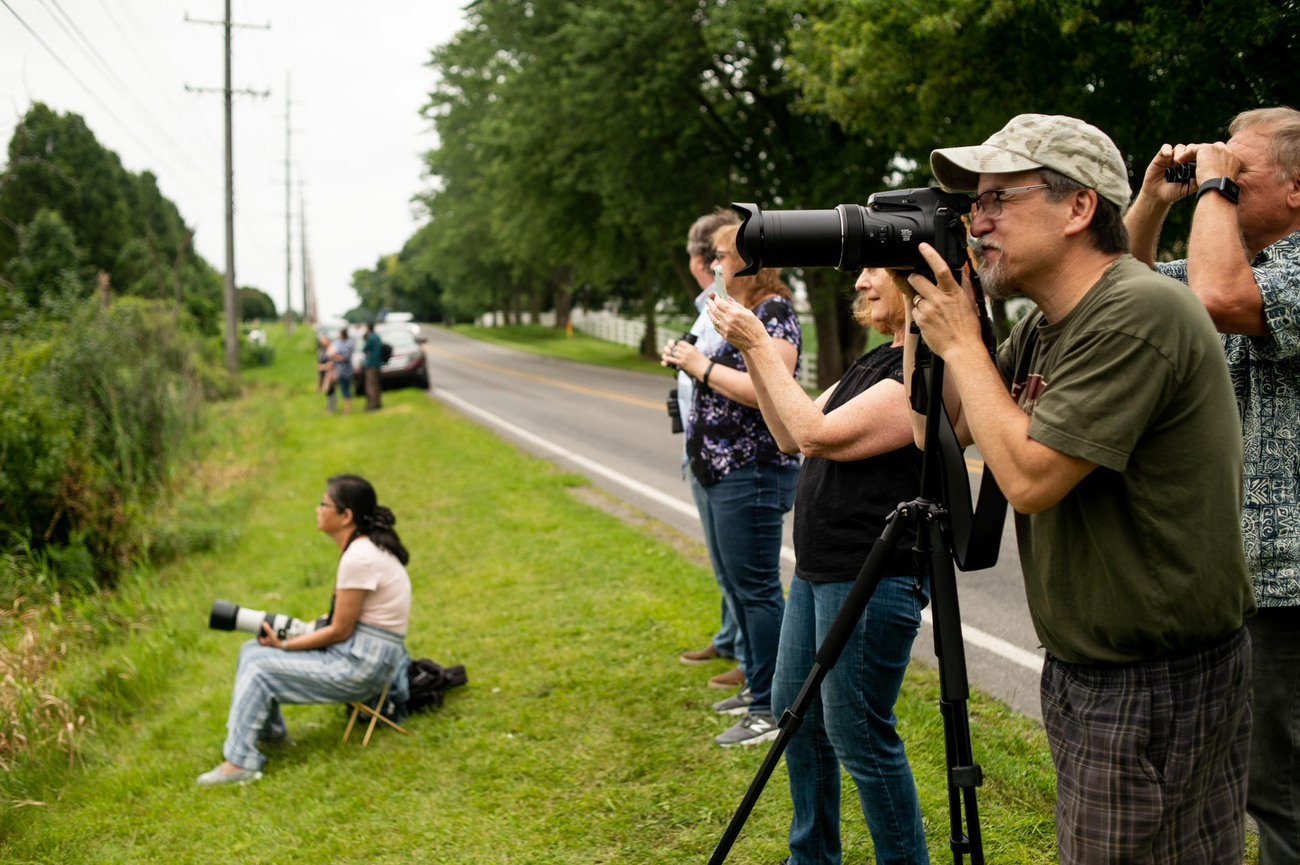 Birders flock to Saline to spot rare bird's first sighting in Michigan