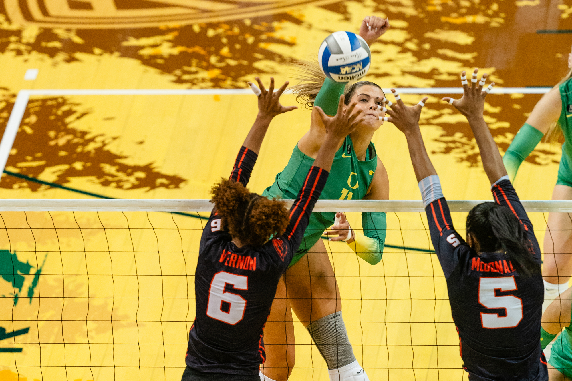 Oregon Ducks volleyball vs. Oregon State Beavers - oregonlive.com